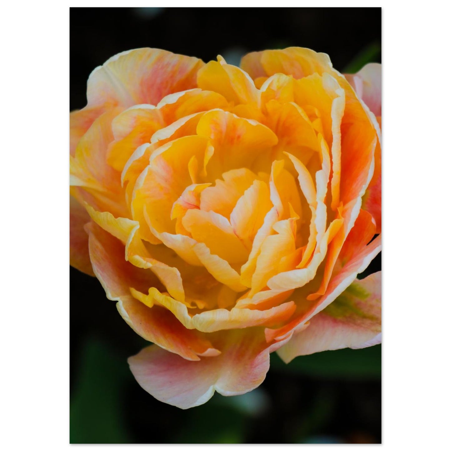 a37bc221-ac4f-441a-939f-5a406f7a26a6