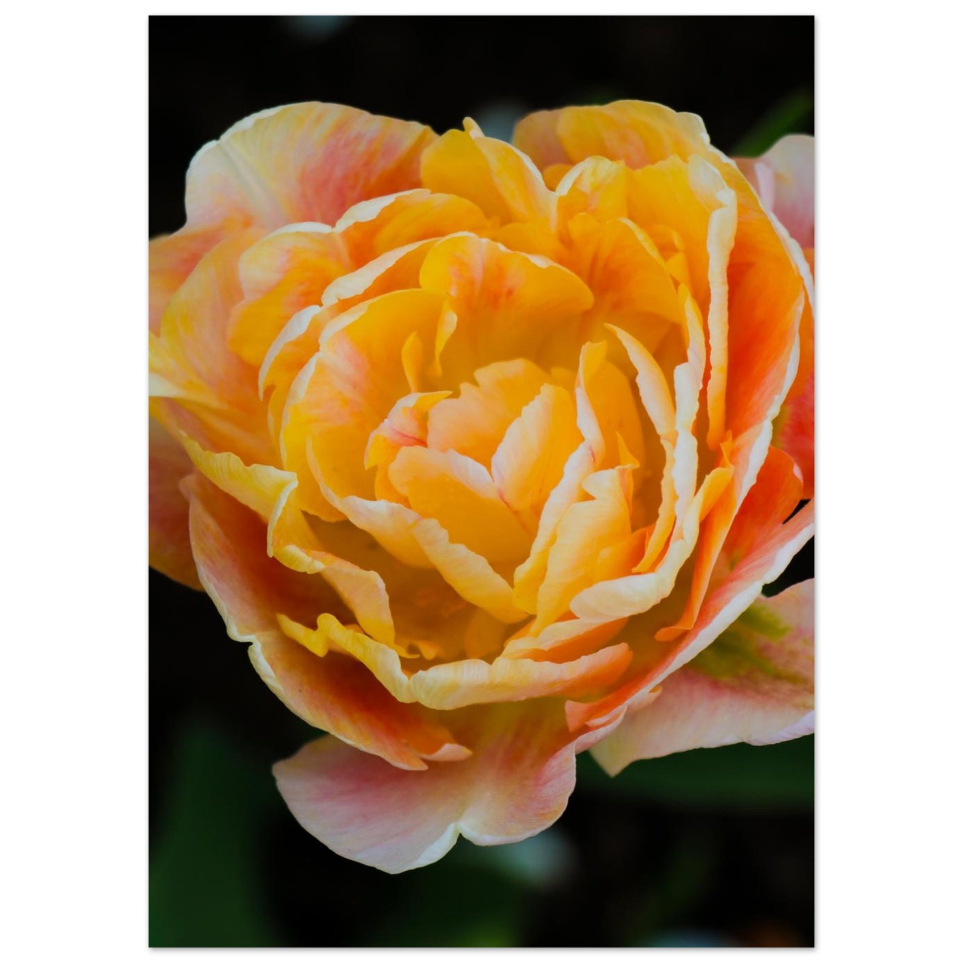 a37bc221-ac4f-441a-939f-5a406f7a26a6