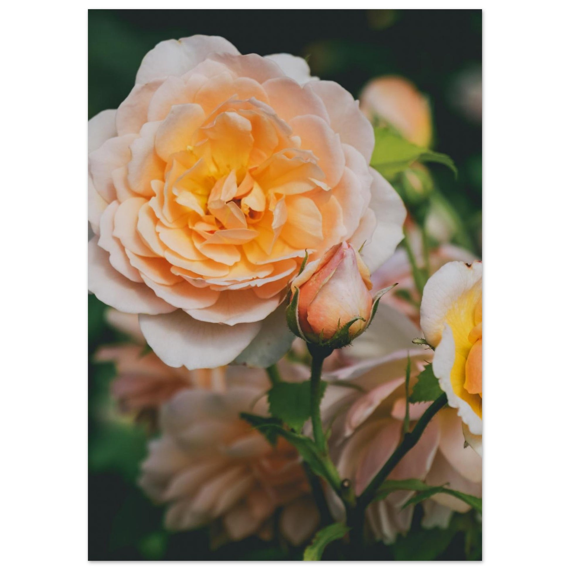 a652bb63-15db-4daa-96ec-a43f05811b9a