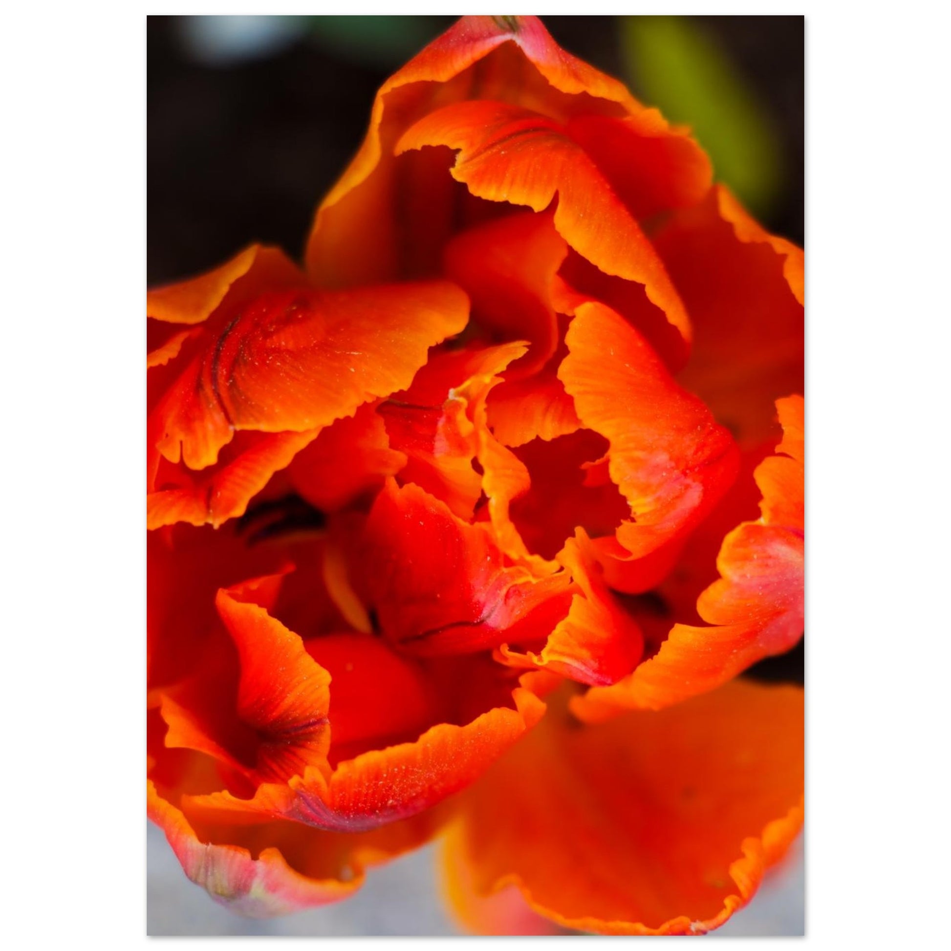 a901658a-aa67-40f0-b5c4-63157f868e87