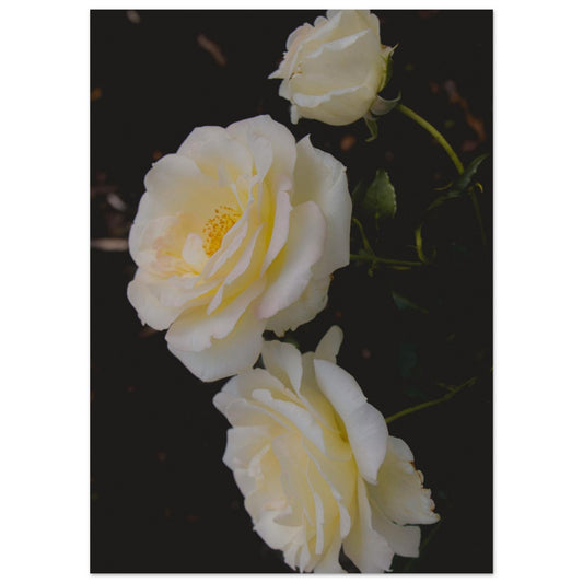 b0f63b8a-6f7d-44e5-95fa-6ebb7c6a767f