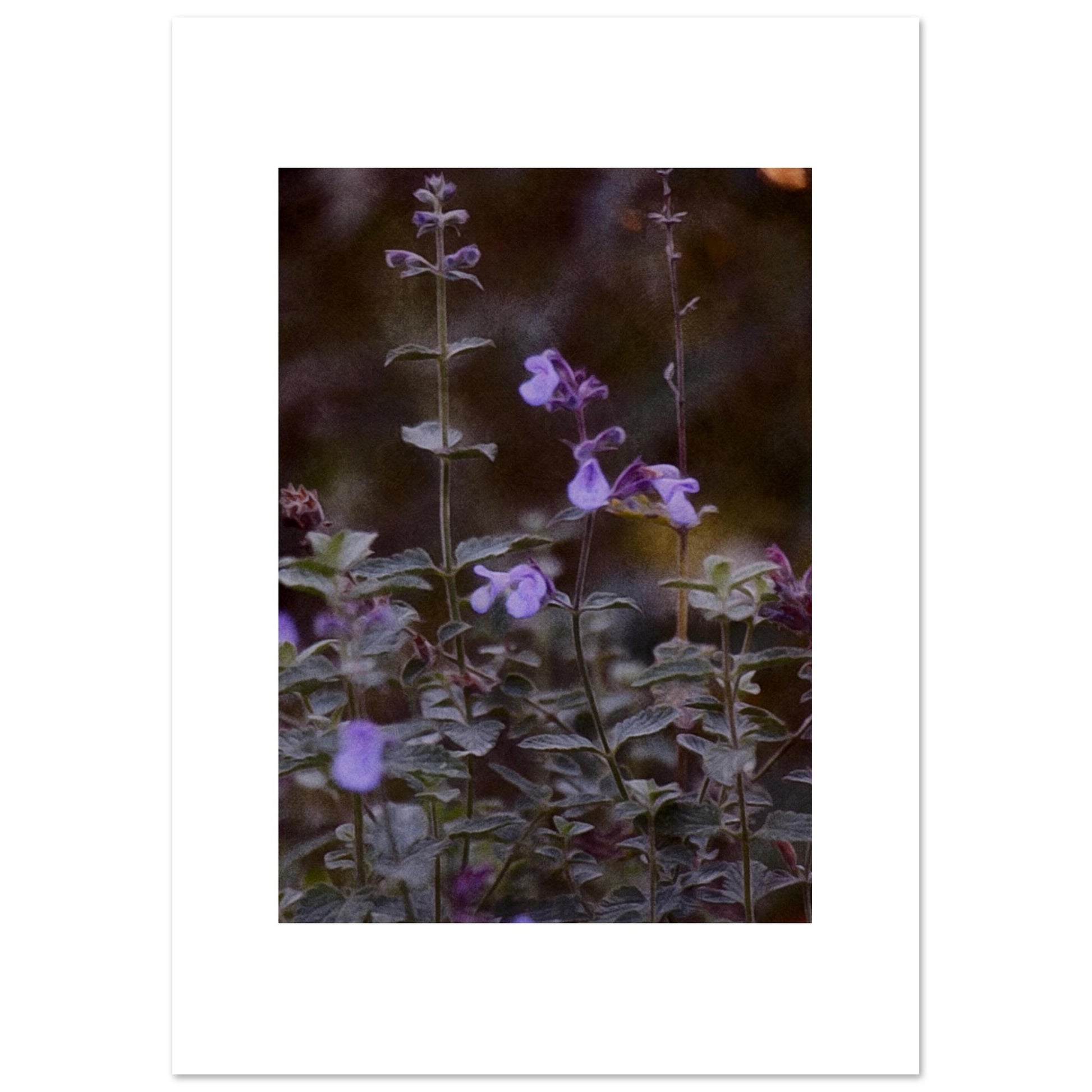 b15a762b-738b-4d49-aef2-ede360b1d8e4