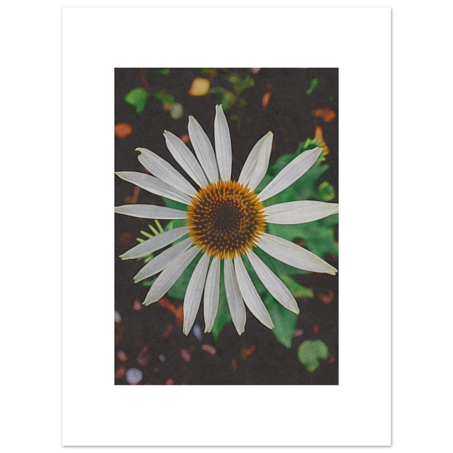 b191f430-0b27-4d43-8e0c-6c62f3624921