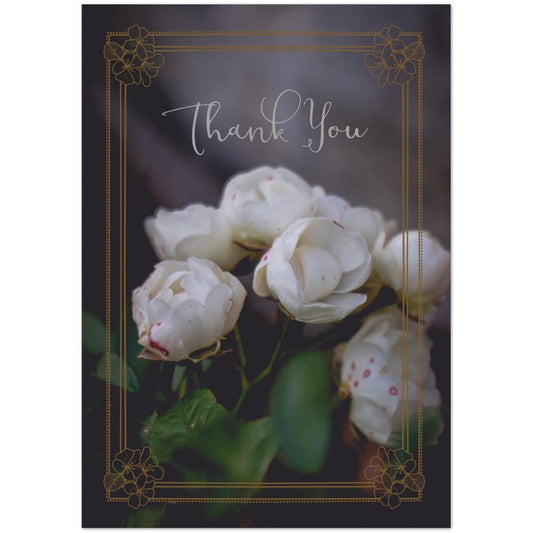 b3662654-1415-4edb-bff3-364c8099dbdd