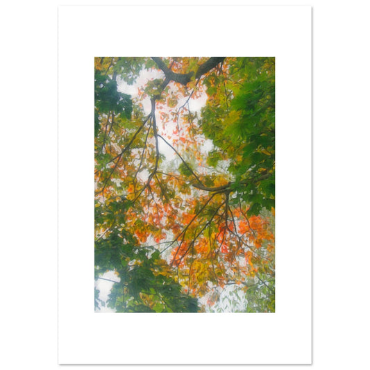 b460e98b-9923-4c5e-ae75-243cb69d00ea