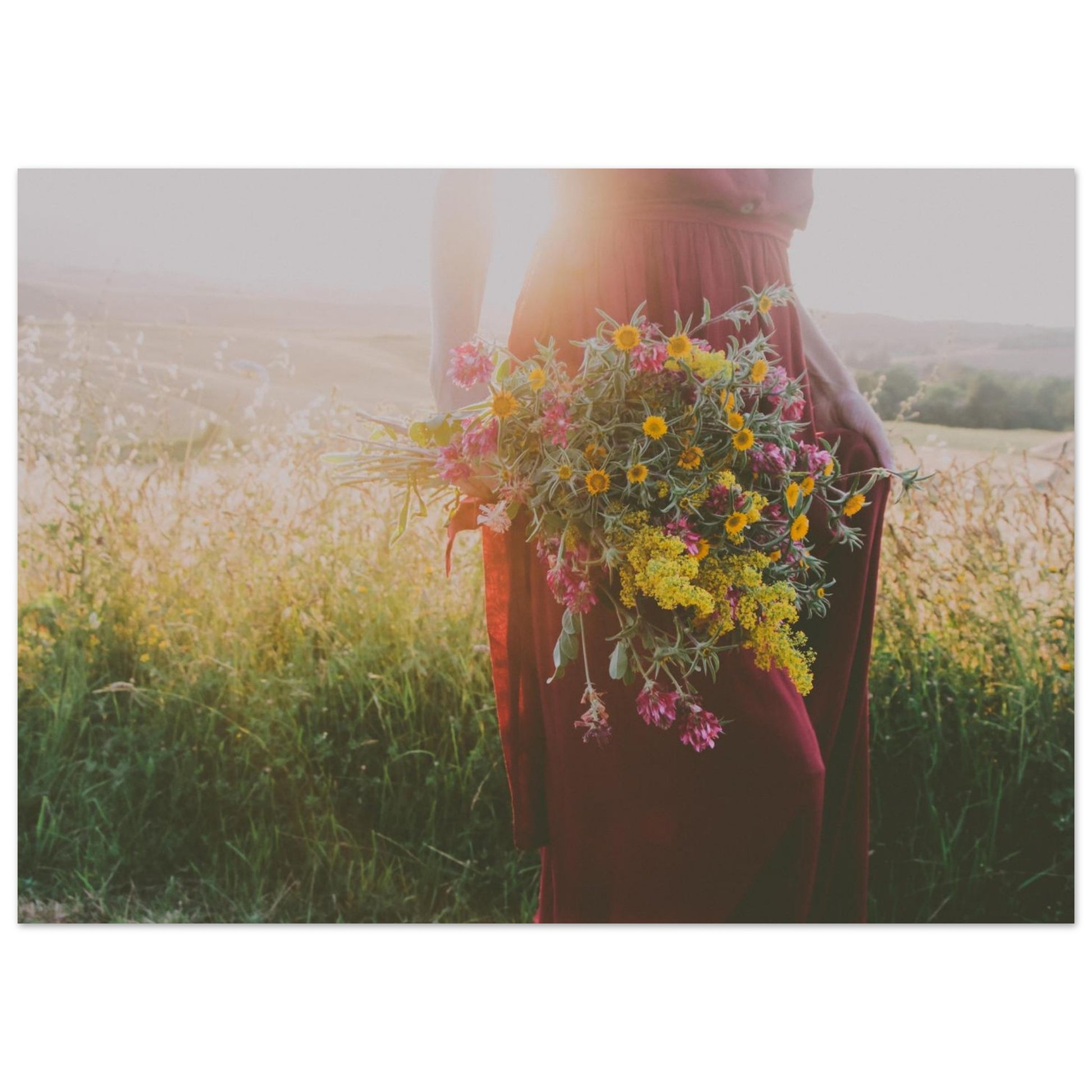 b466d909-08c6-4dbb-95cd-53d8010fee13