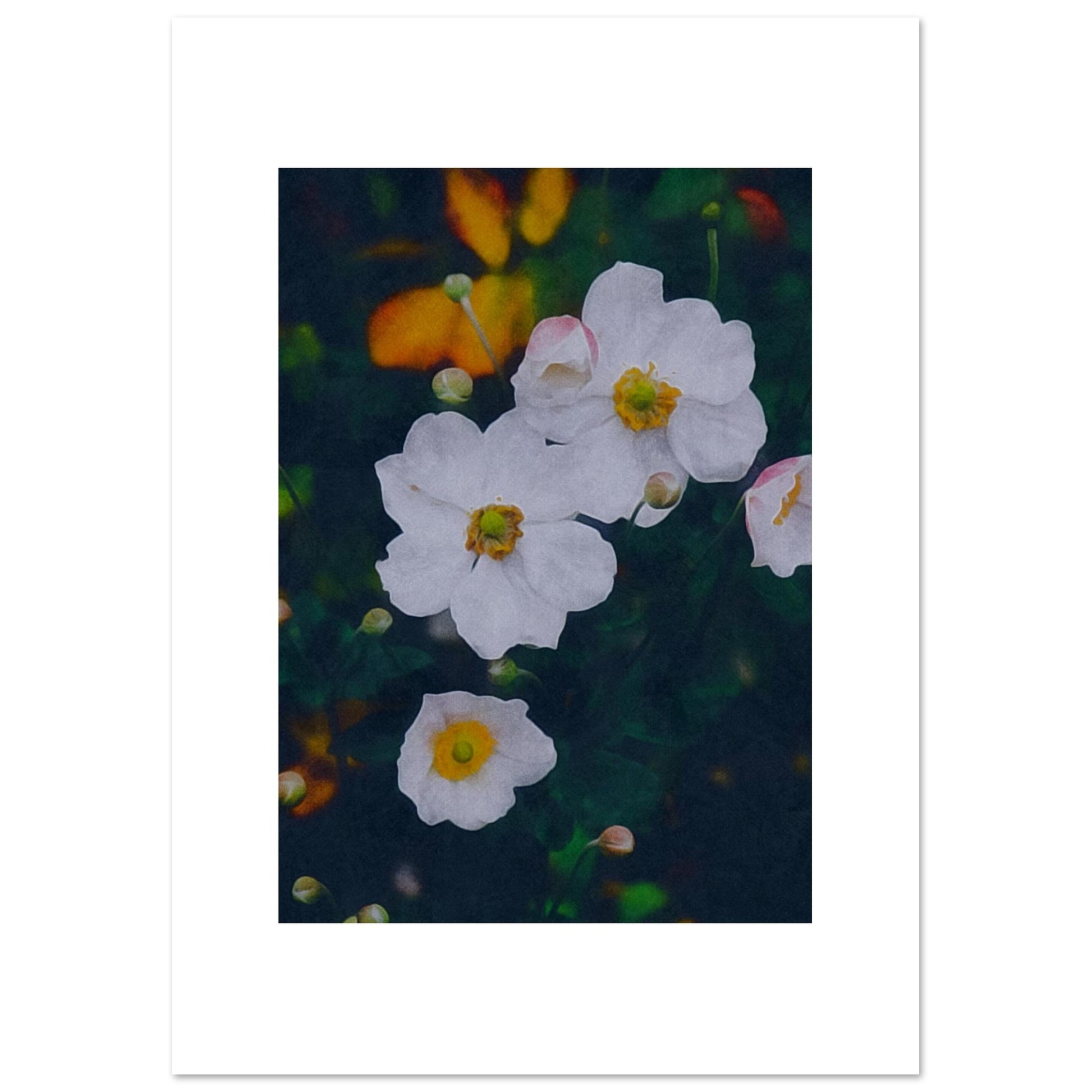 b672aa63-4103-4db7-aebf-dc62d1c188cd