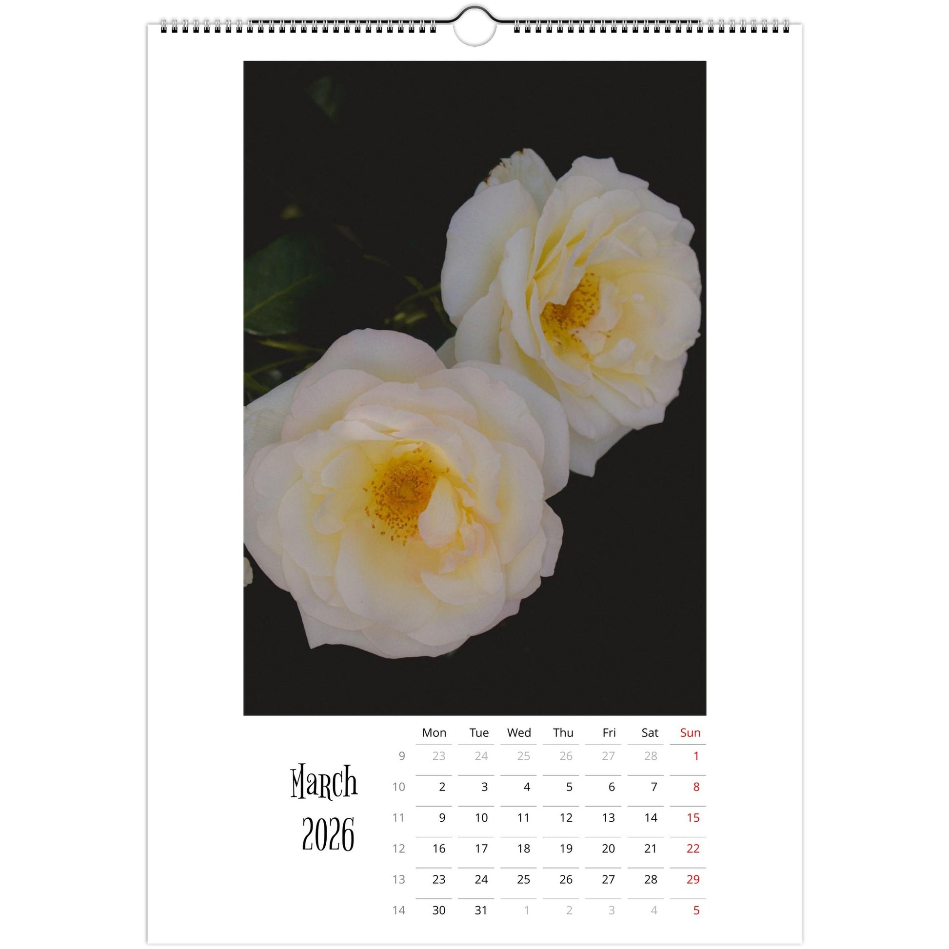 b78cf3fd-d0f6-47ab-9ecf-a737c9b83c9f