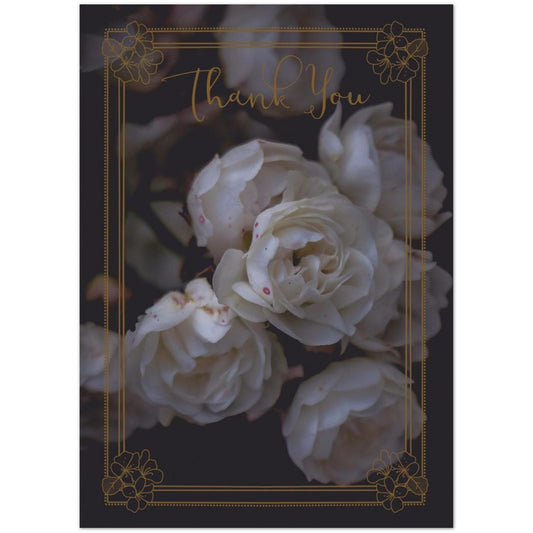 b87ed96f-2117-4710-a30e-29a76cc8dbee