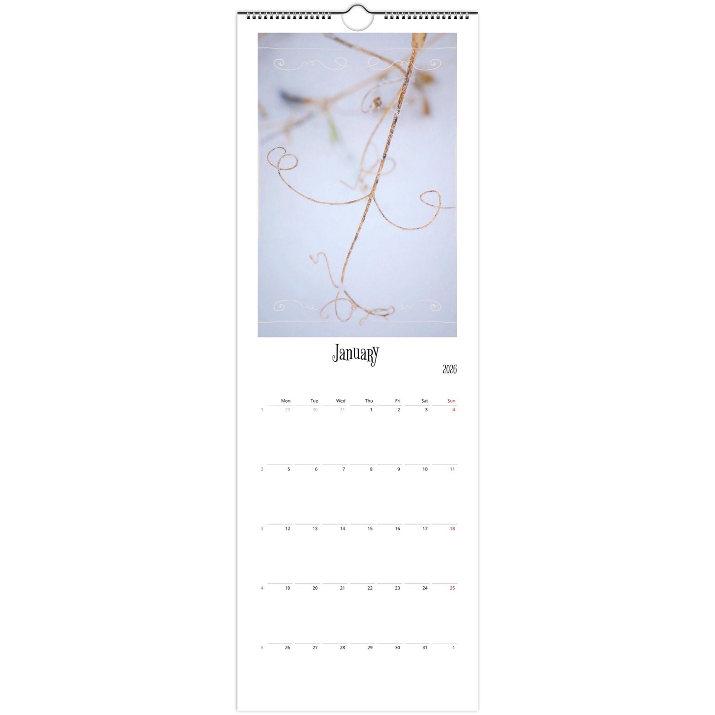 bb2fefe1-035f-4844-b927-7a2a3f5457de