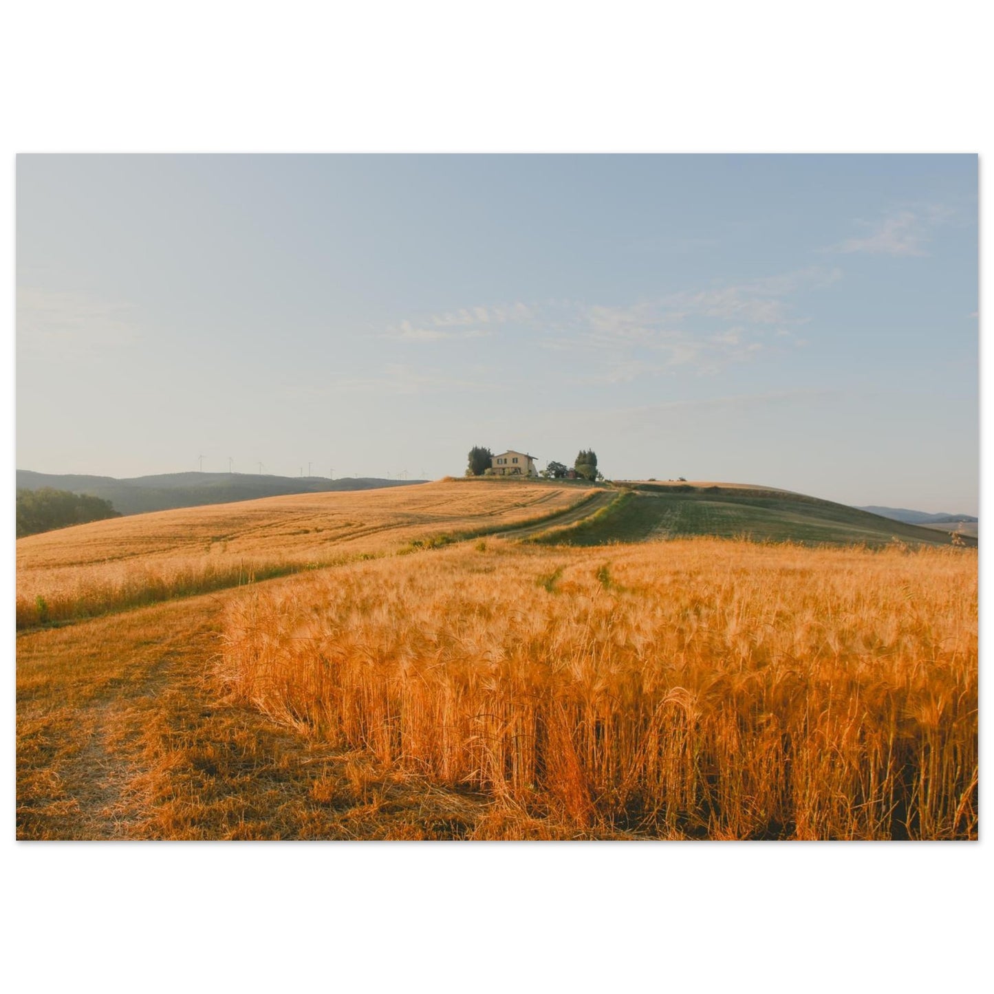 be265dae-18db-422a-a7b6-0743cee8b75d