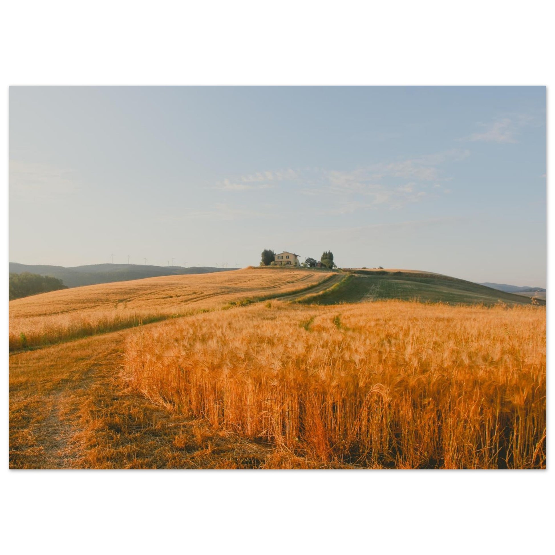 be265dae-18db-422a-a7b6-0743cee8b75d