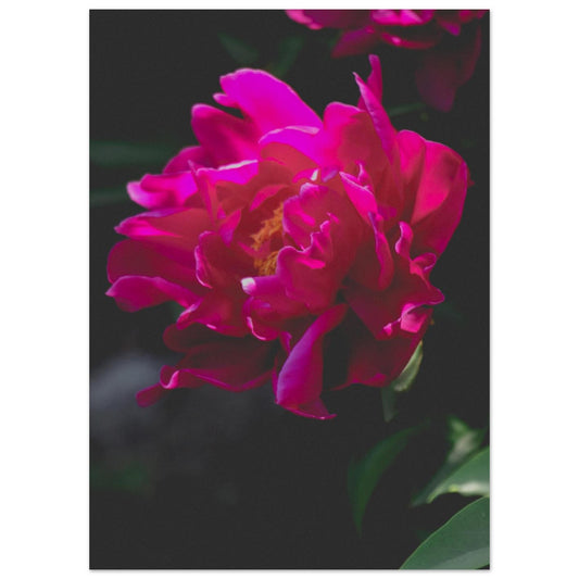 beda5643-a462-4337-ad57-6a62a2939bb3