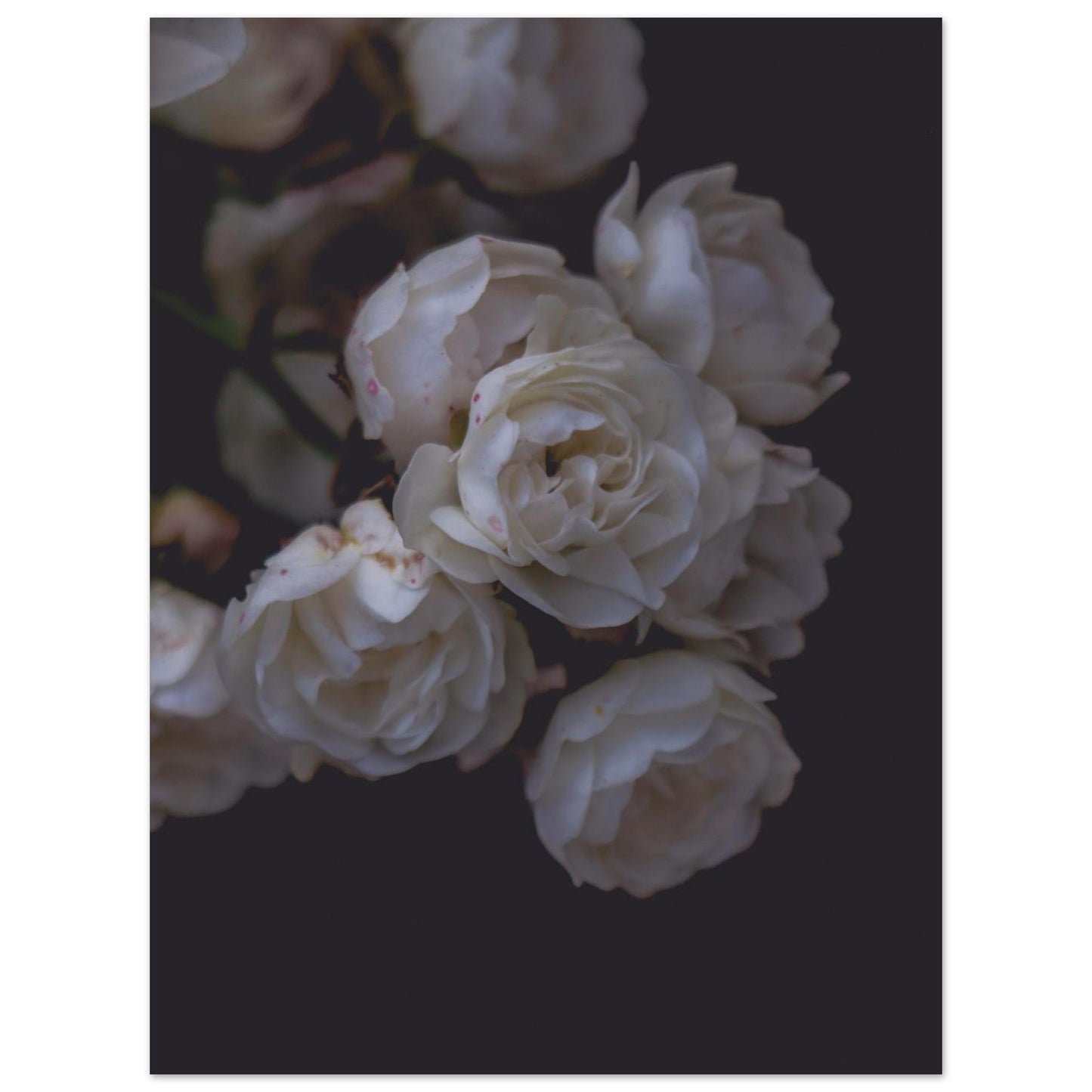 c001baa0-51e9-479c-b54a-c1de0990762e