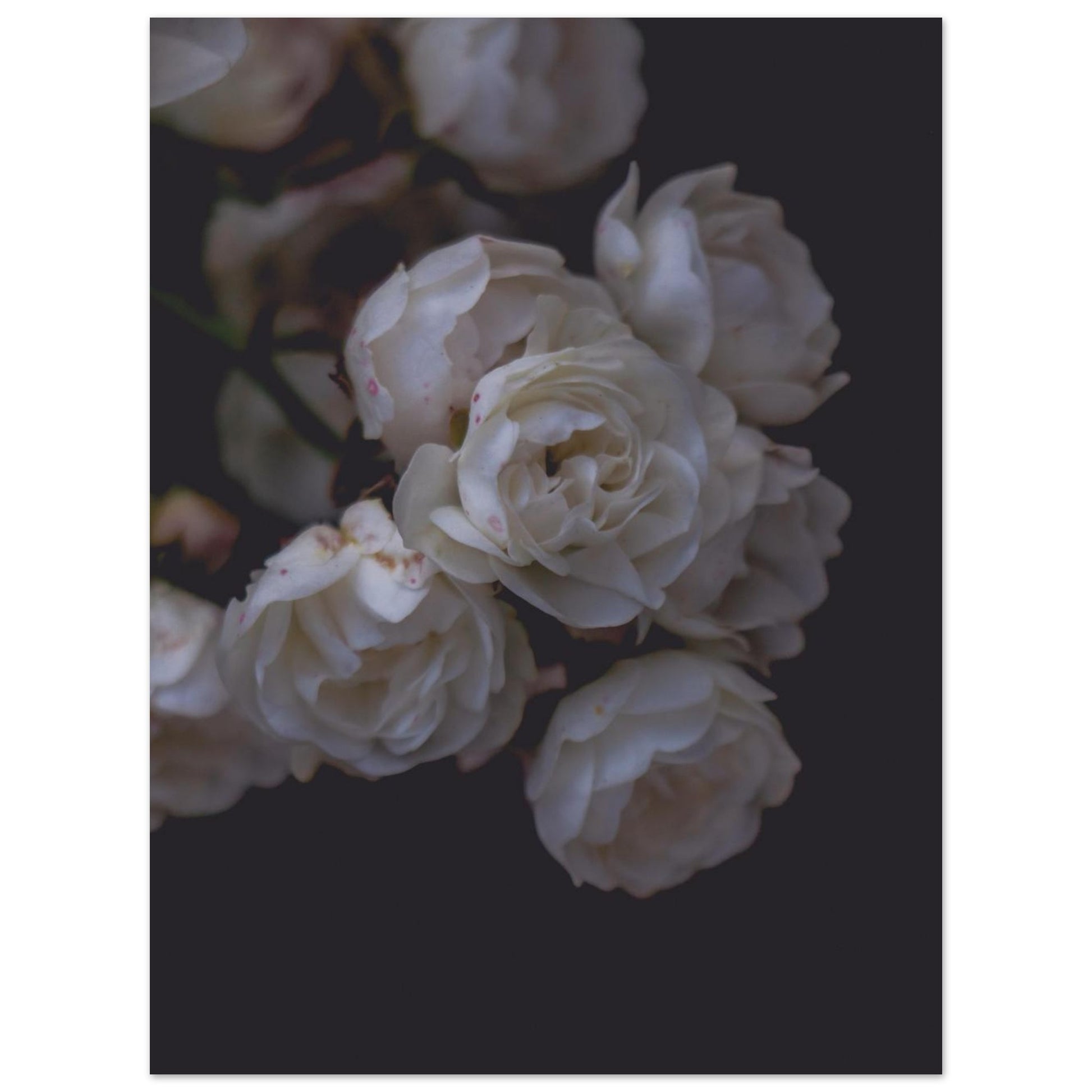 c001baa0-51e9-479c-b54a-c1de0990762e