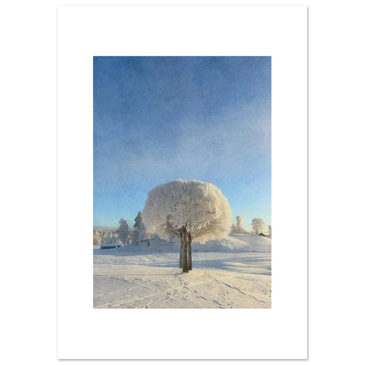 c1ed7328-9da6-4623-8544-0c2af1234d97