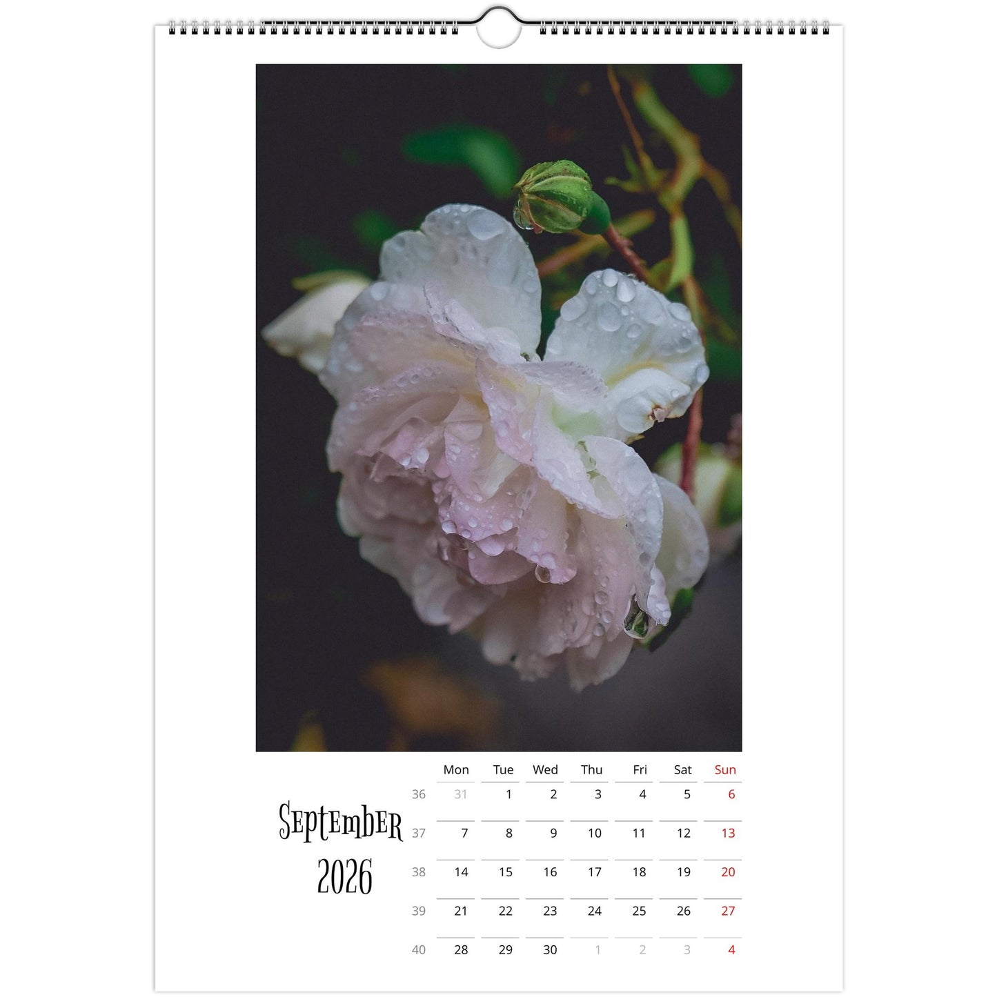 c437df16-ad85-424f-a913-e3cda33ced76