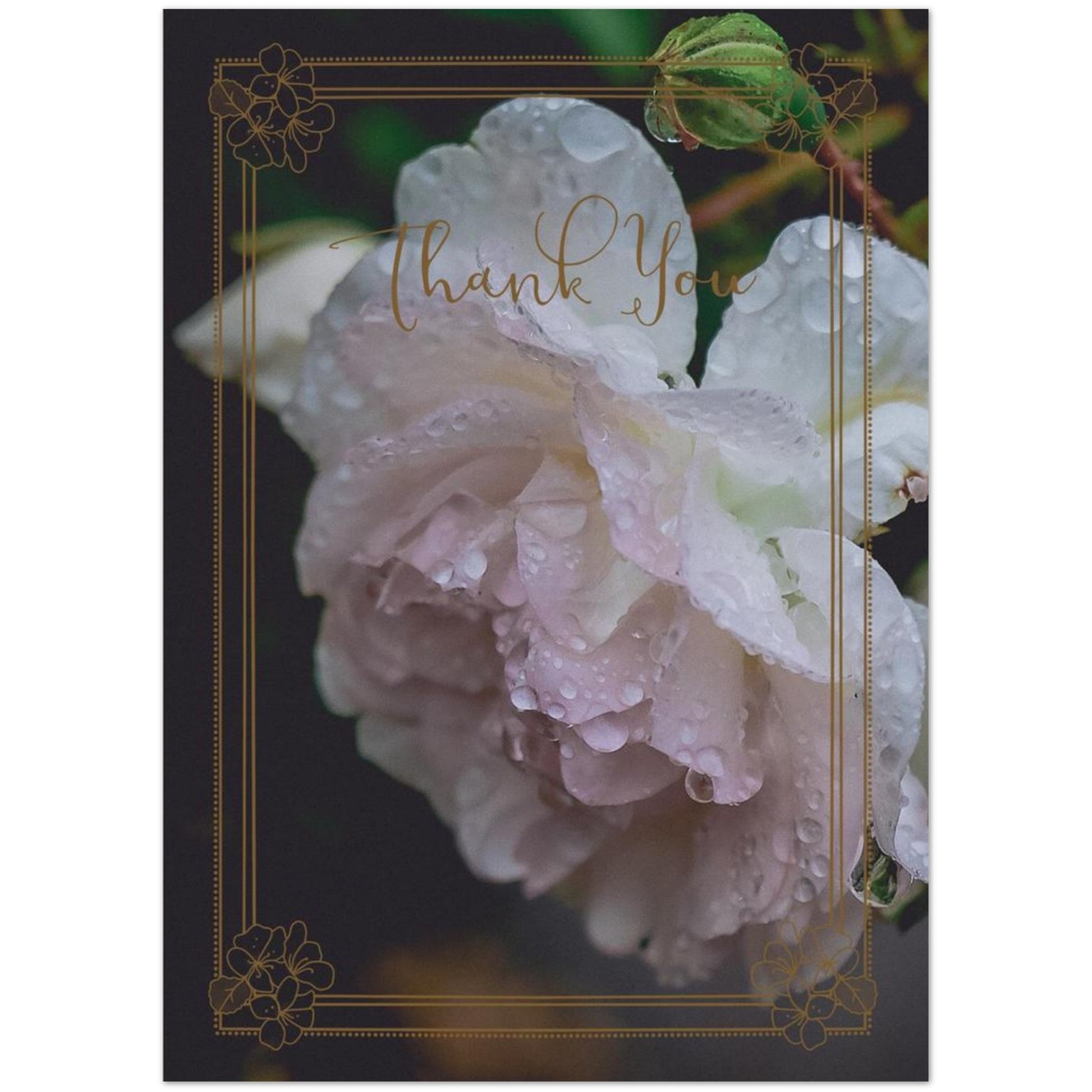 c44f54dd-428b-4d32-af63-e52272b635db