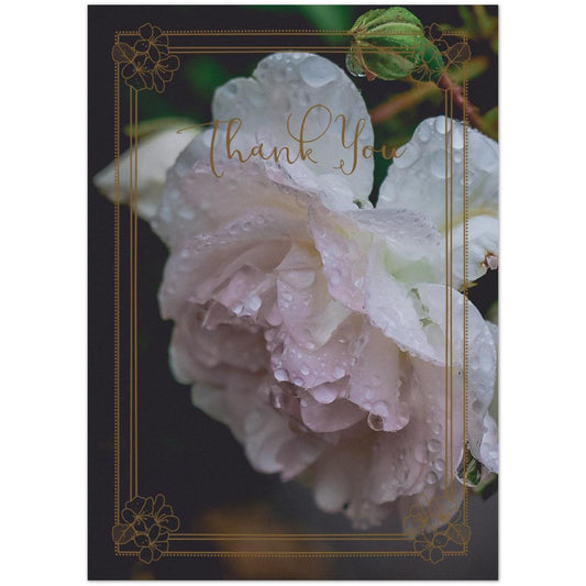 c44f54dd-428b-4d32-af63-e52272b635db