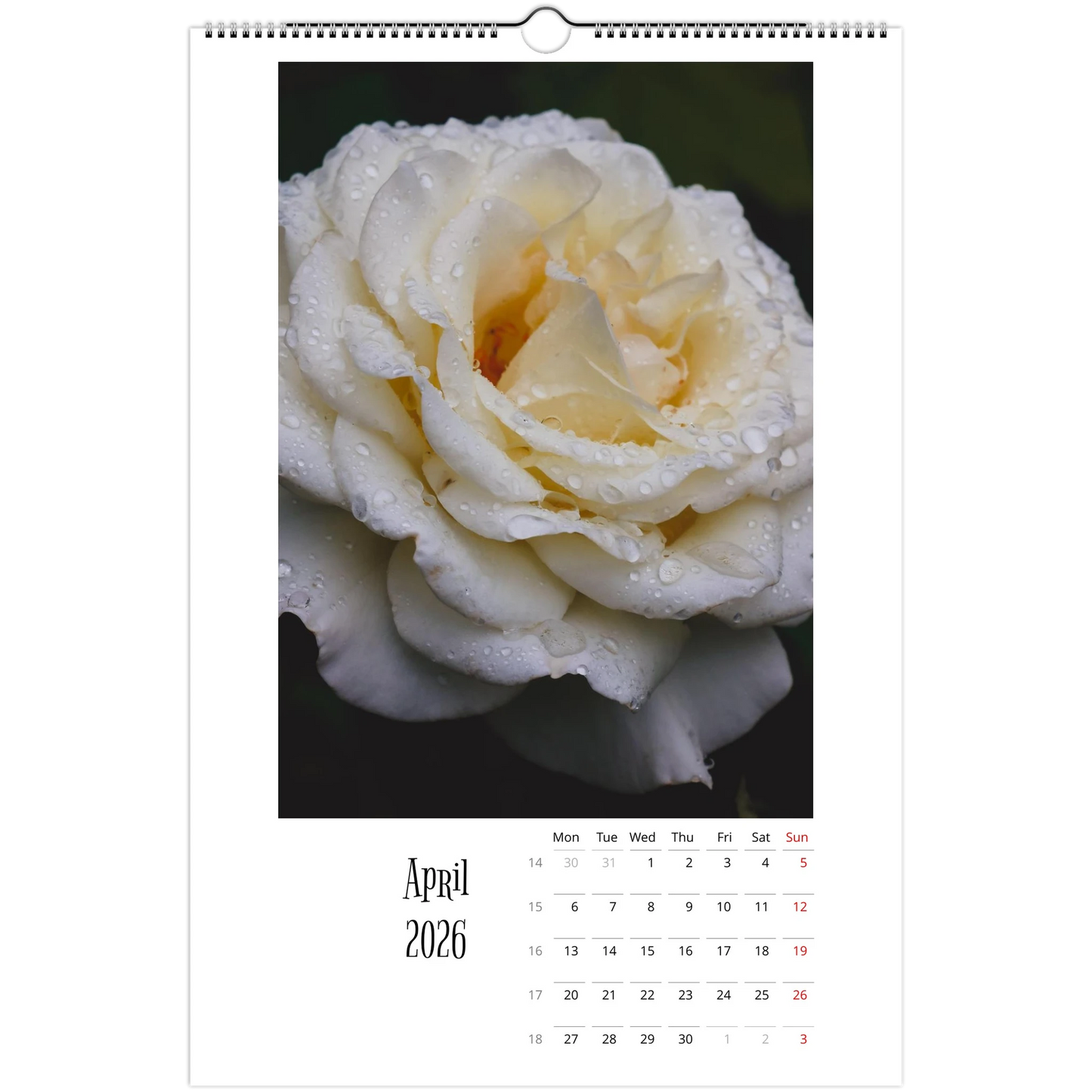 c573d6b0-1e38-49fc-a7cc-ca70e20f2564