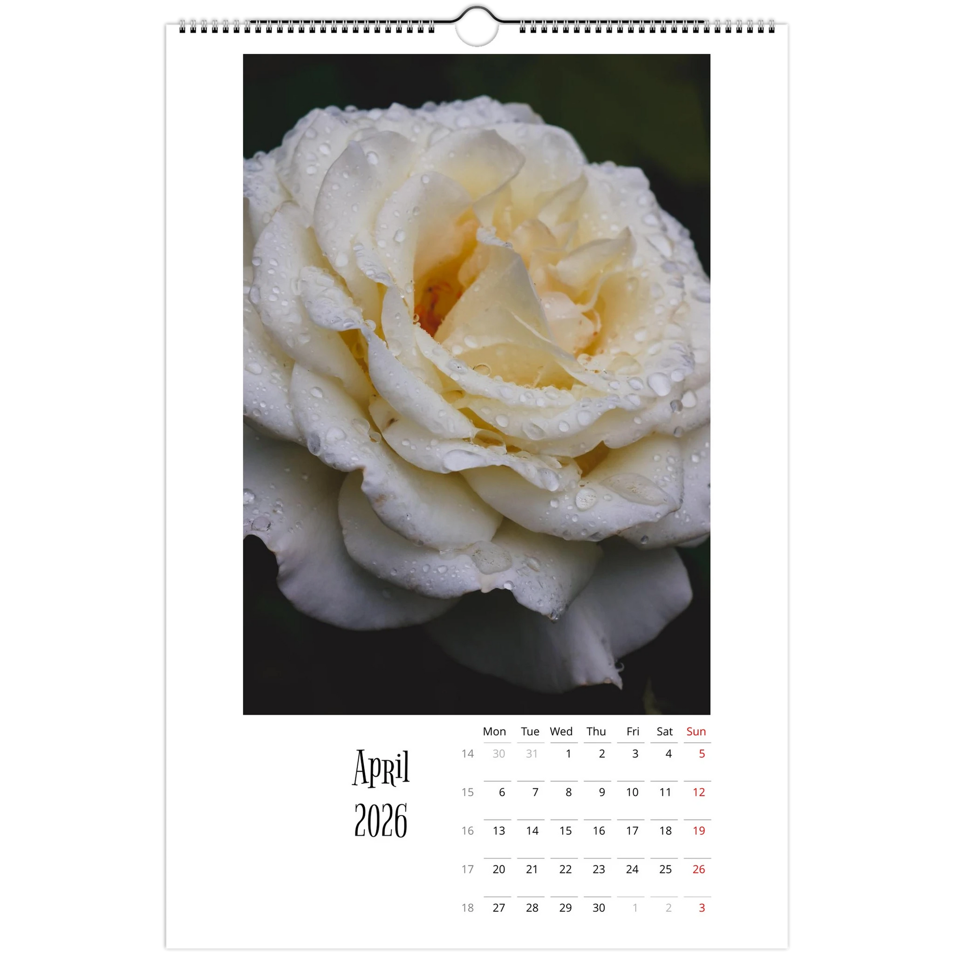 c573d6b0-1e38-49fc-a7cc-ca70e20f2564