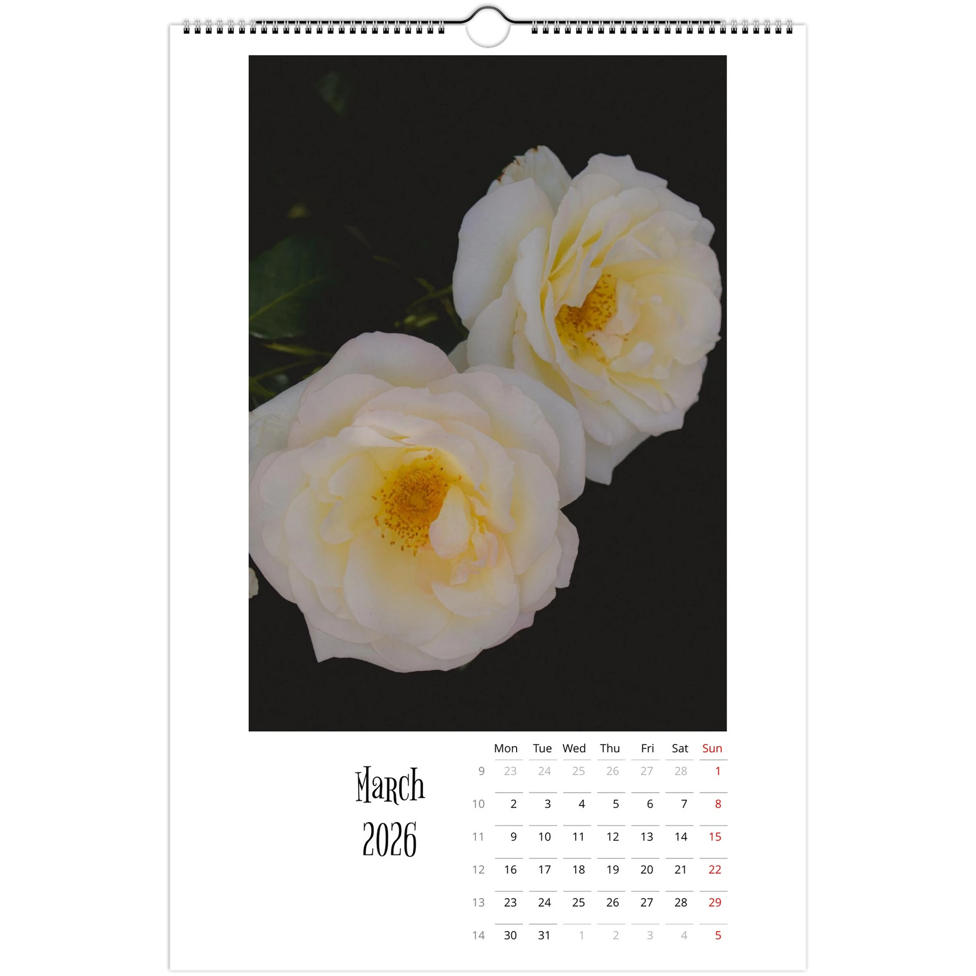 c5a1702f-7d8d-4a66-a570-aa73742ec4cc