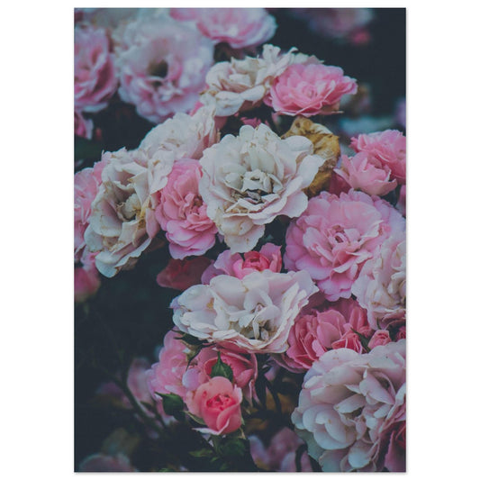 c62cb2b4-8ed5-4b29-9c7d-d13e4e8aa6ad