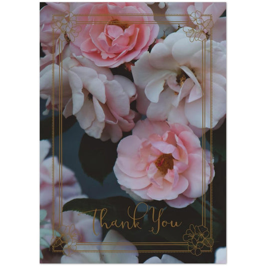 c6f2c78e-da53-4a4a-aeb9-f9302b3848ee