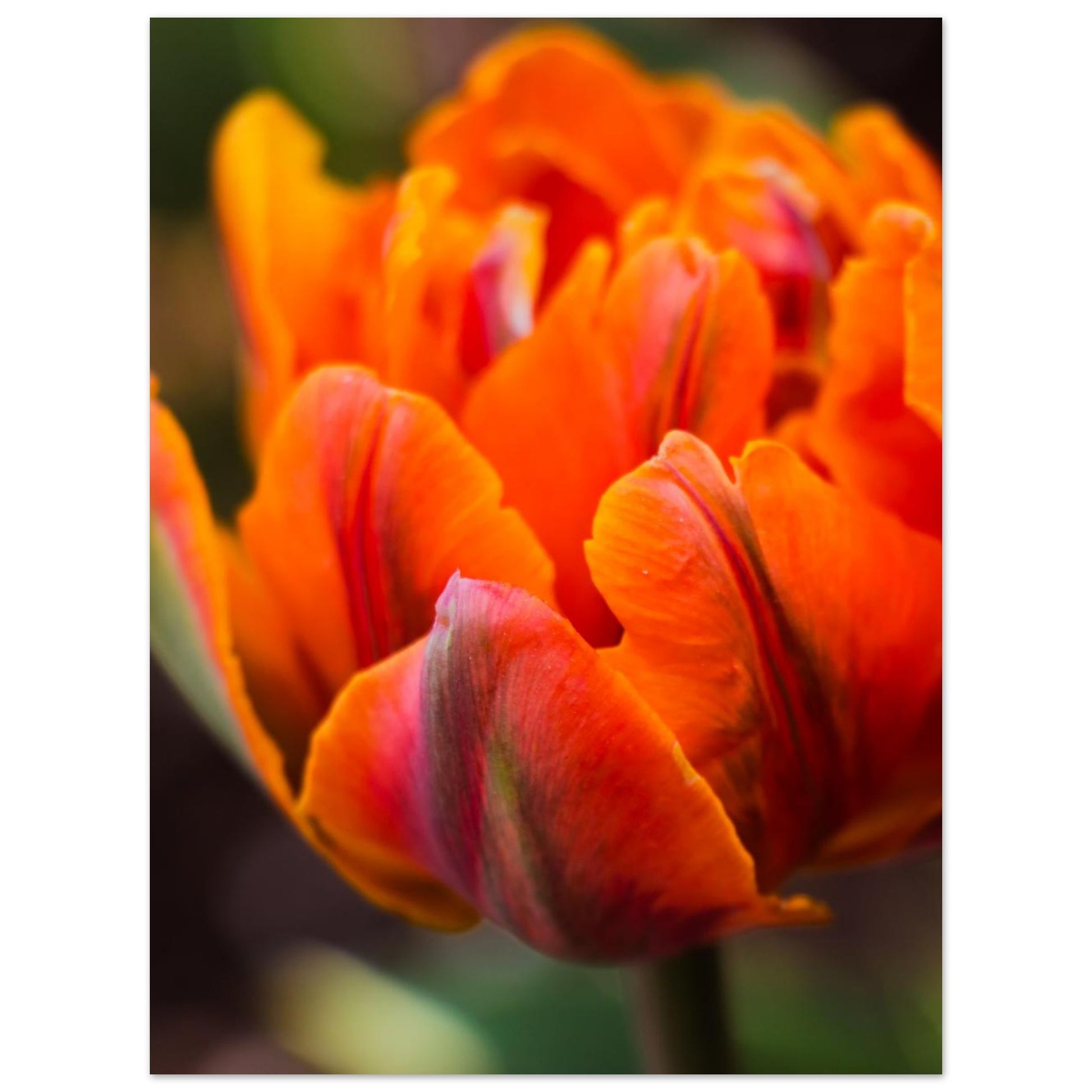 c85743e6-2e6d-4cb0-960a-c841da0c9cee