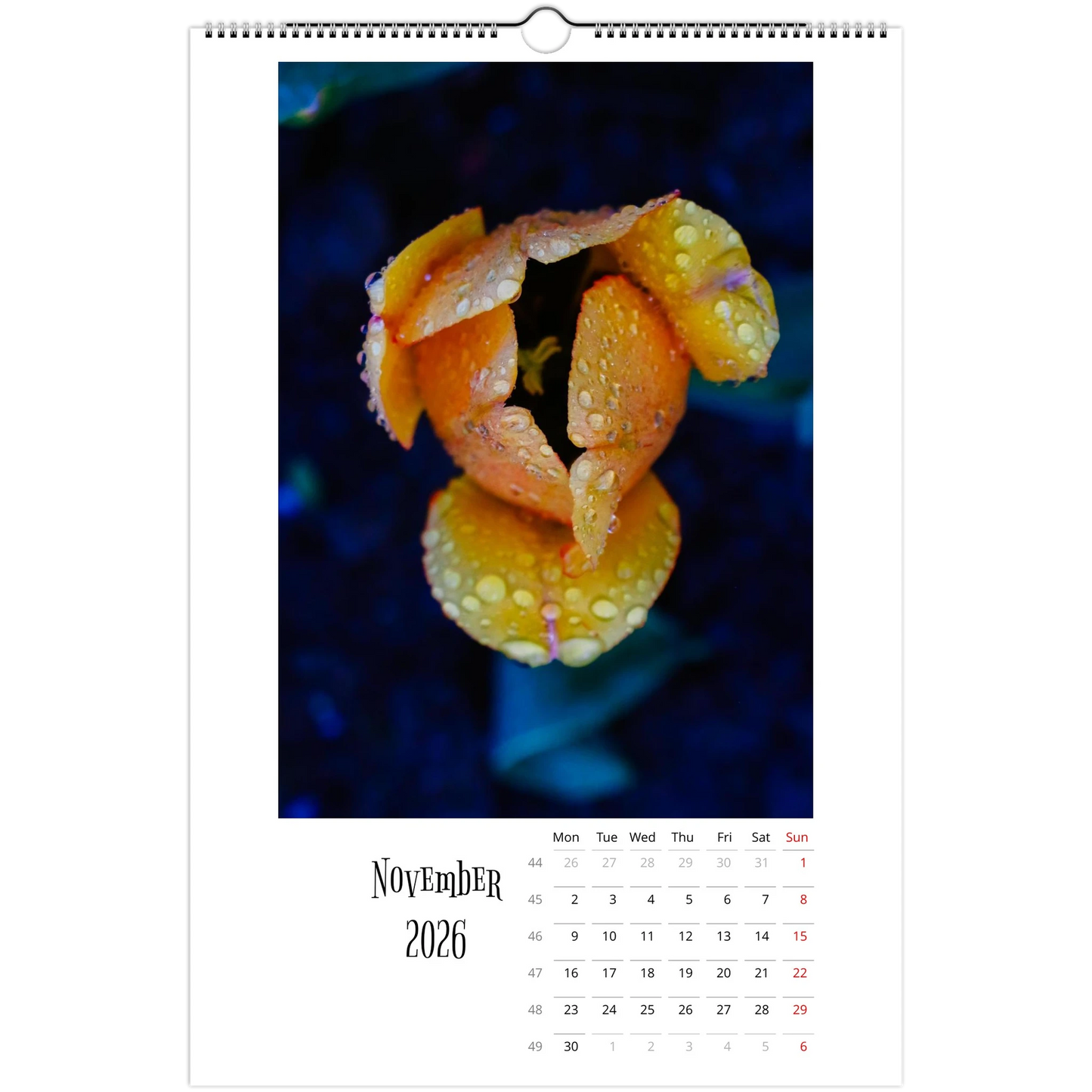 c9f21b78-6654-4d3f-9bf6-986daa92ca5d