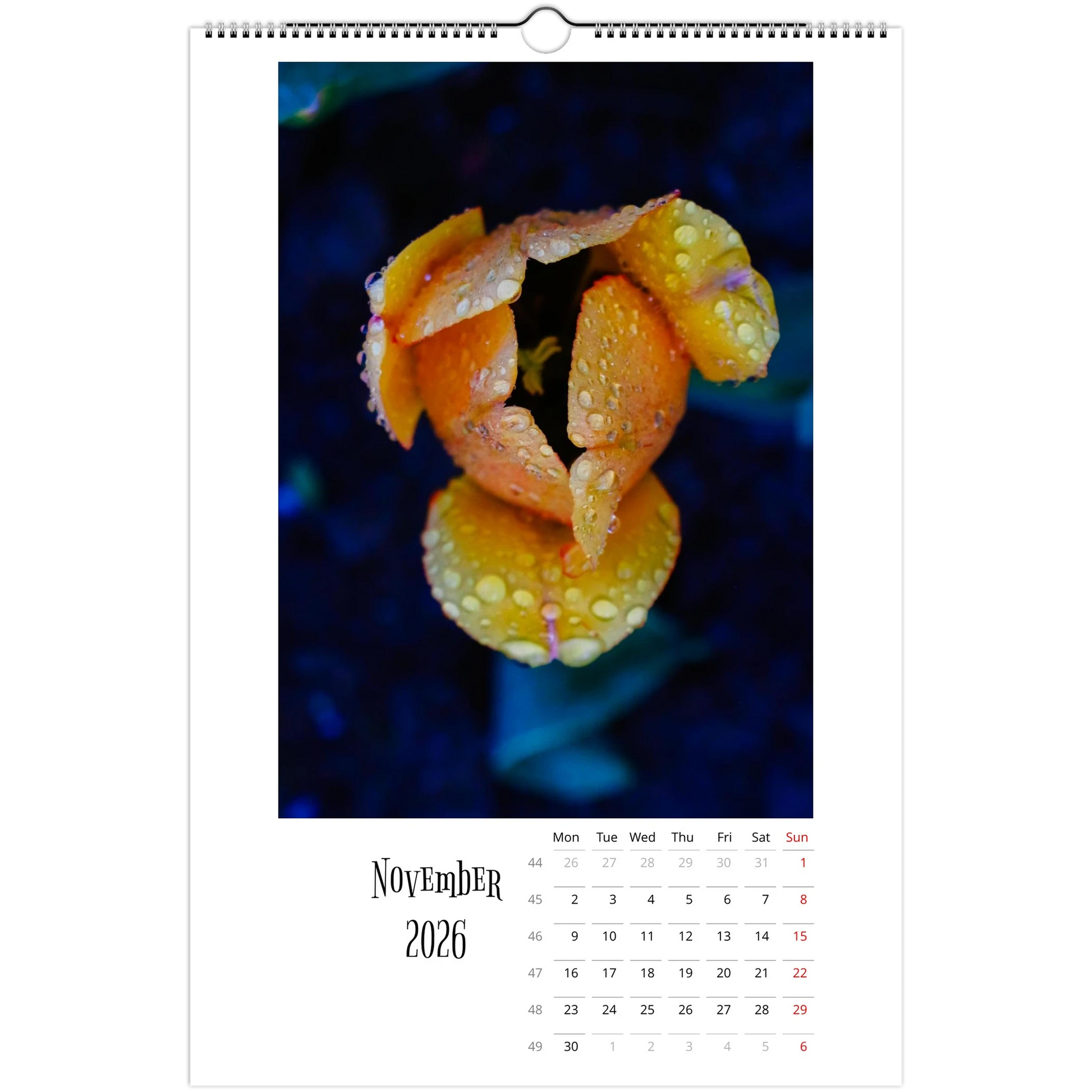 c9f21b78-6654-4d3f-9bf6-986daa92ca5d