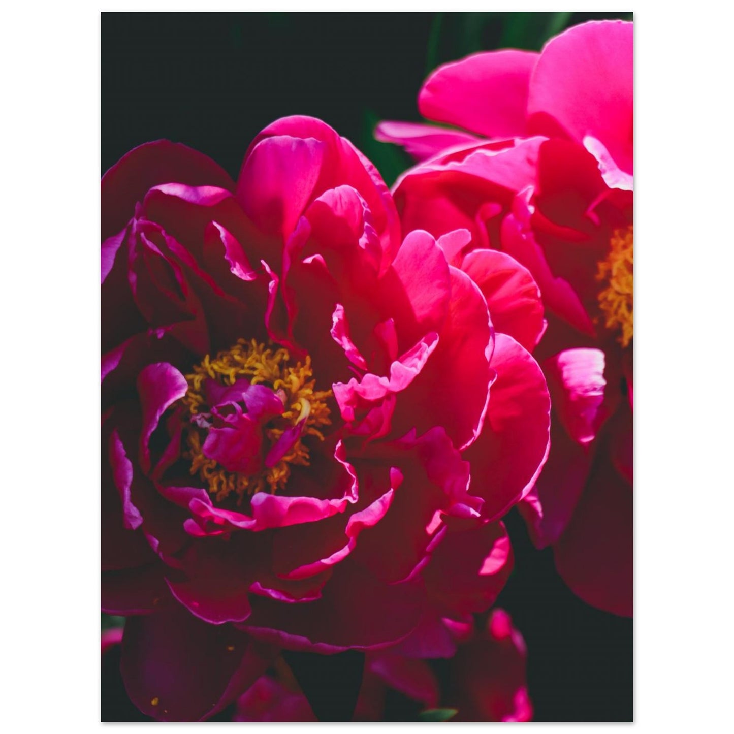 cba87983-0a20-45a3-9ce7-86b63b6982a9