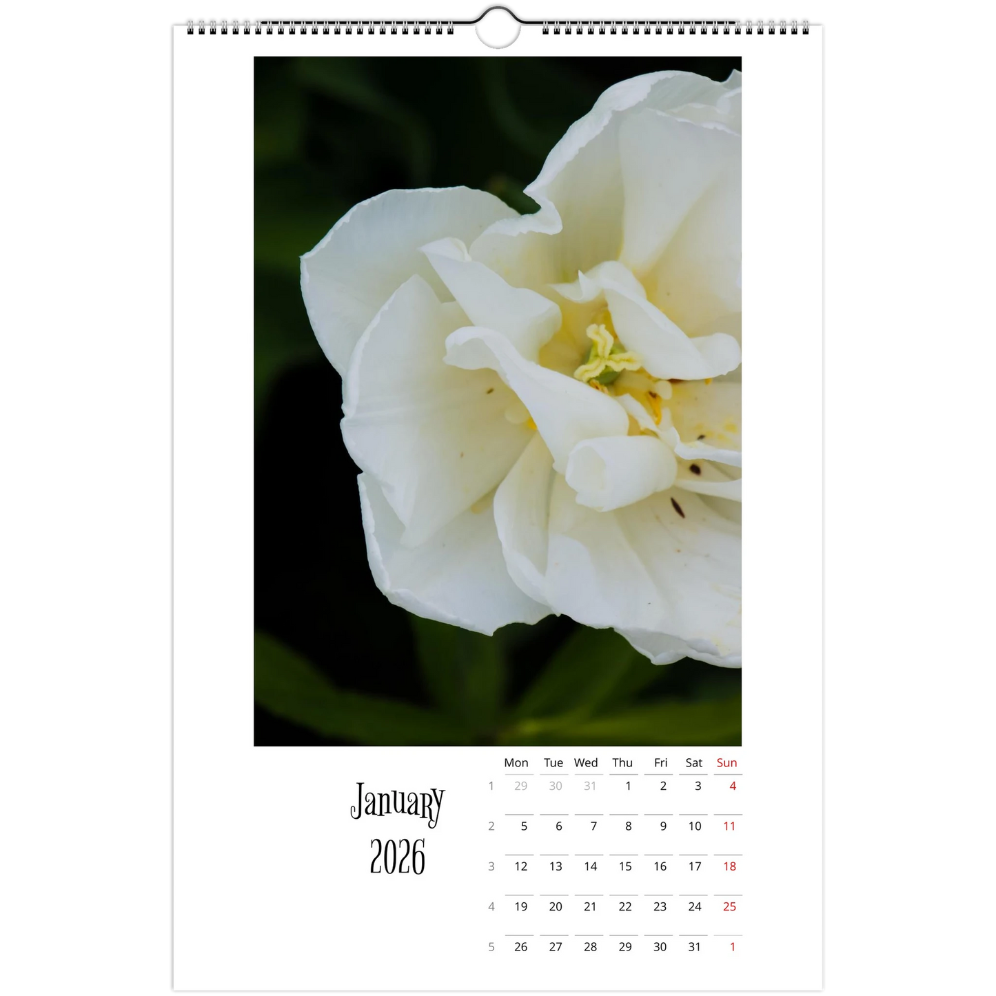 cc906eb7-74f9-4a2b-a467-c2632e34d838