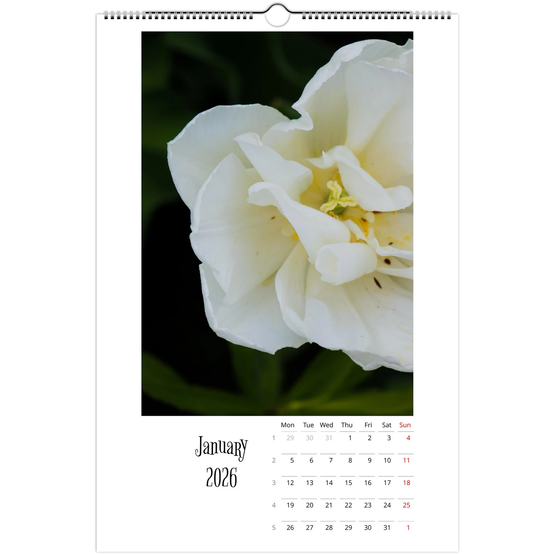 cc906eb7-74f9-4a2b-a467-c2632e34d838