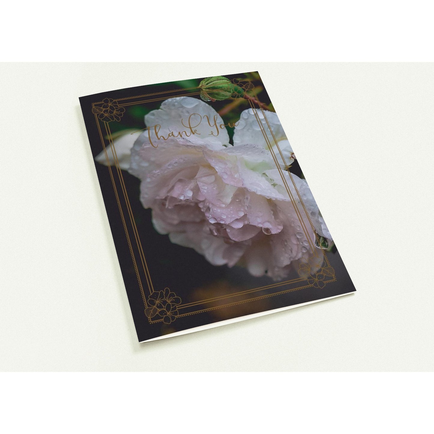 cd6c6846-4a06-4b7c-814f-a33fa9ed59bd