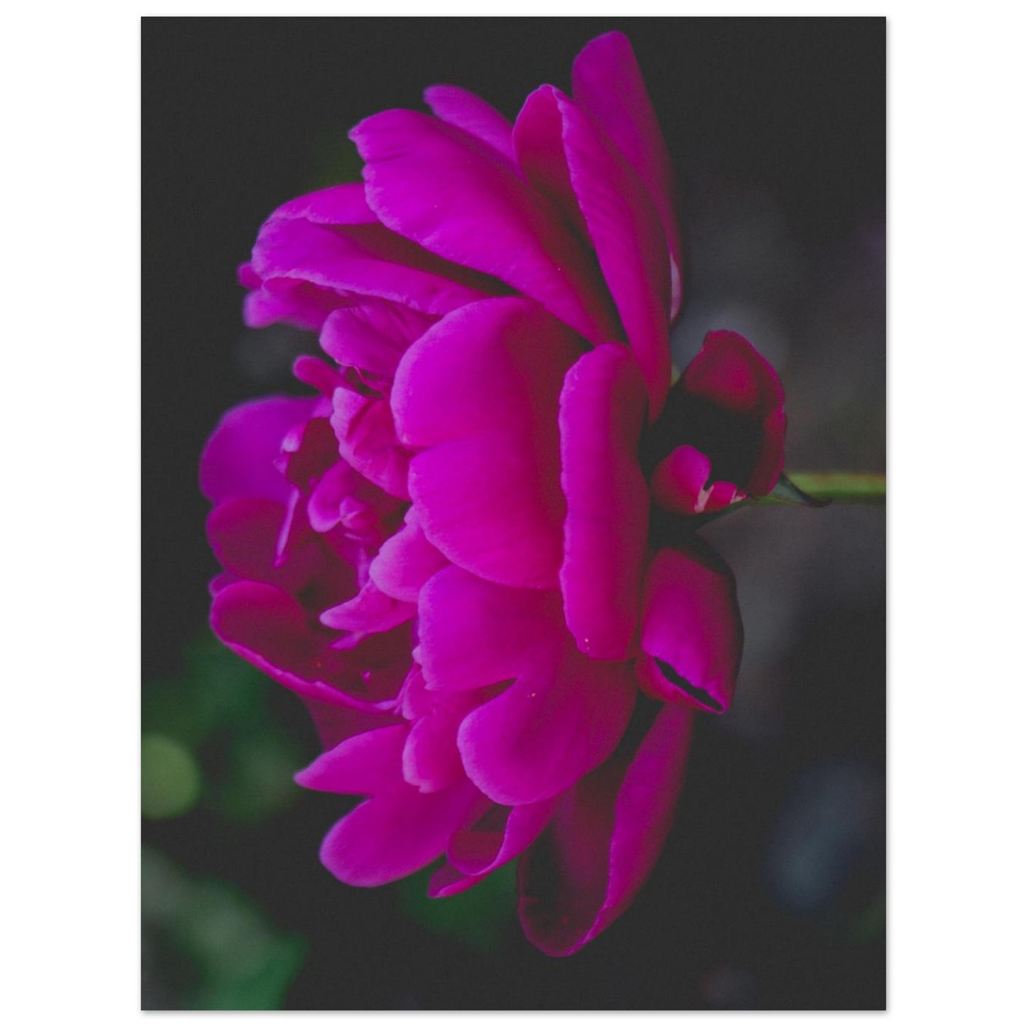 cdd8a53d-7478-4f8b-a49b-2ad86ee5e4f1