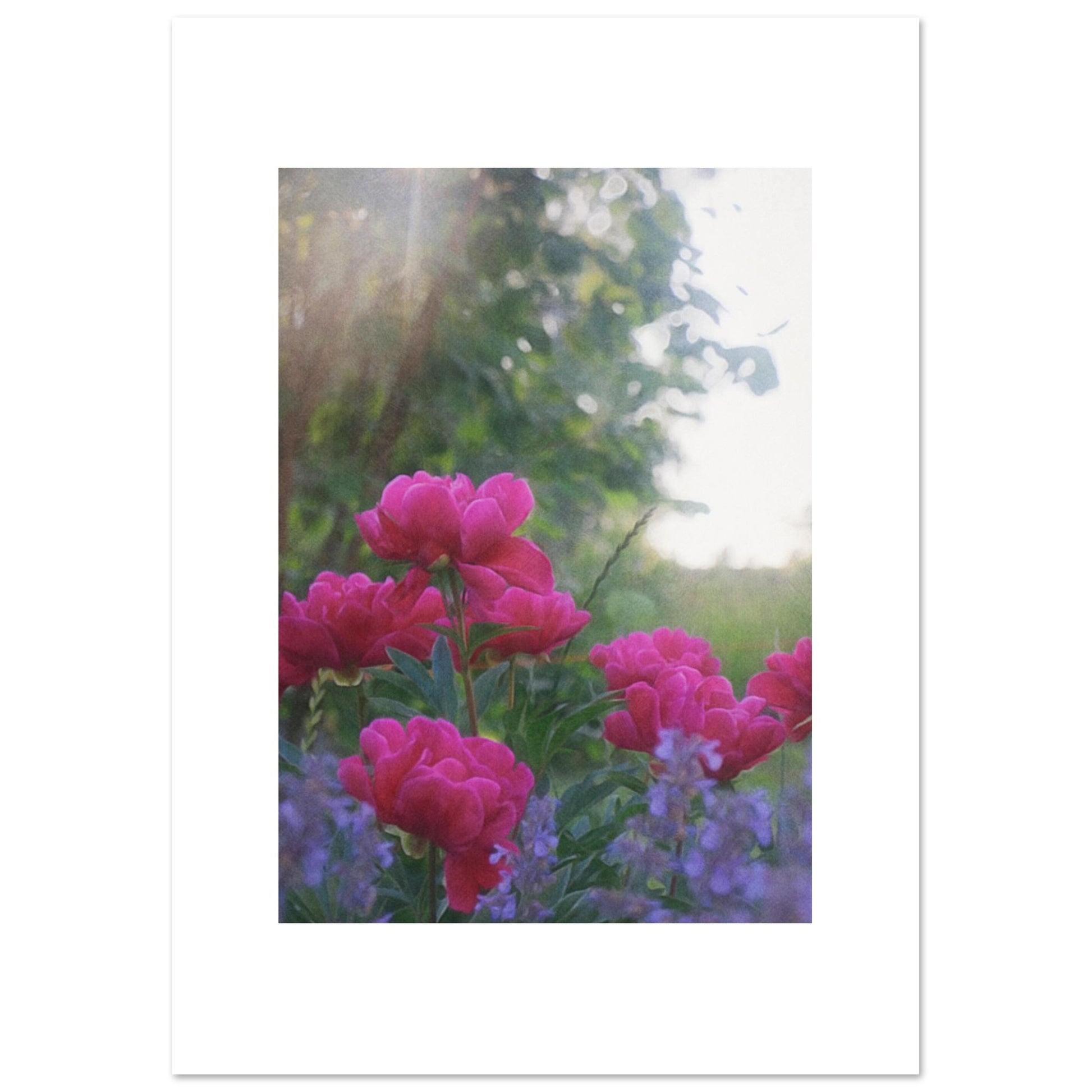 cdecdab8-f698-451a-81be-c9090a4527df