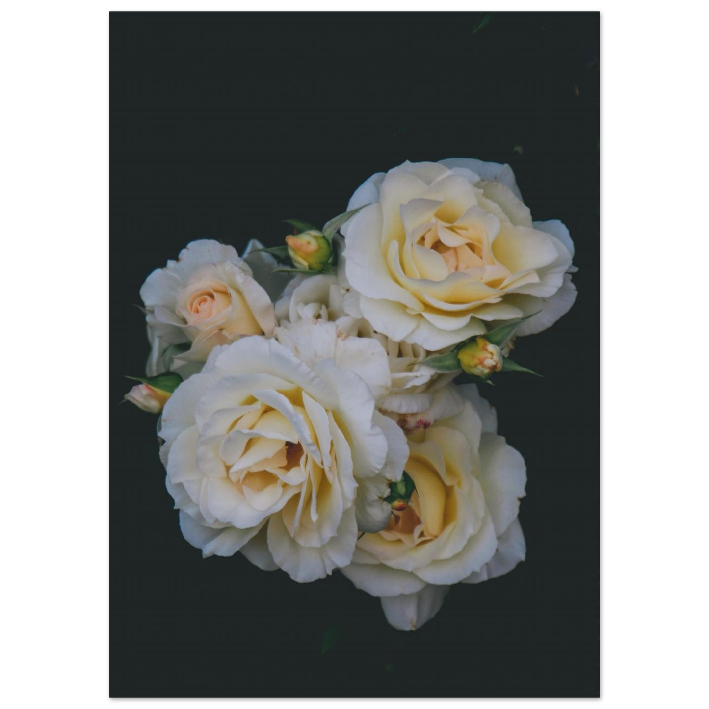 cf830add-f42a-43b8-972f-3a0f53ce79f6