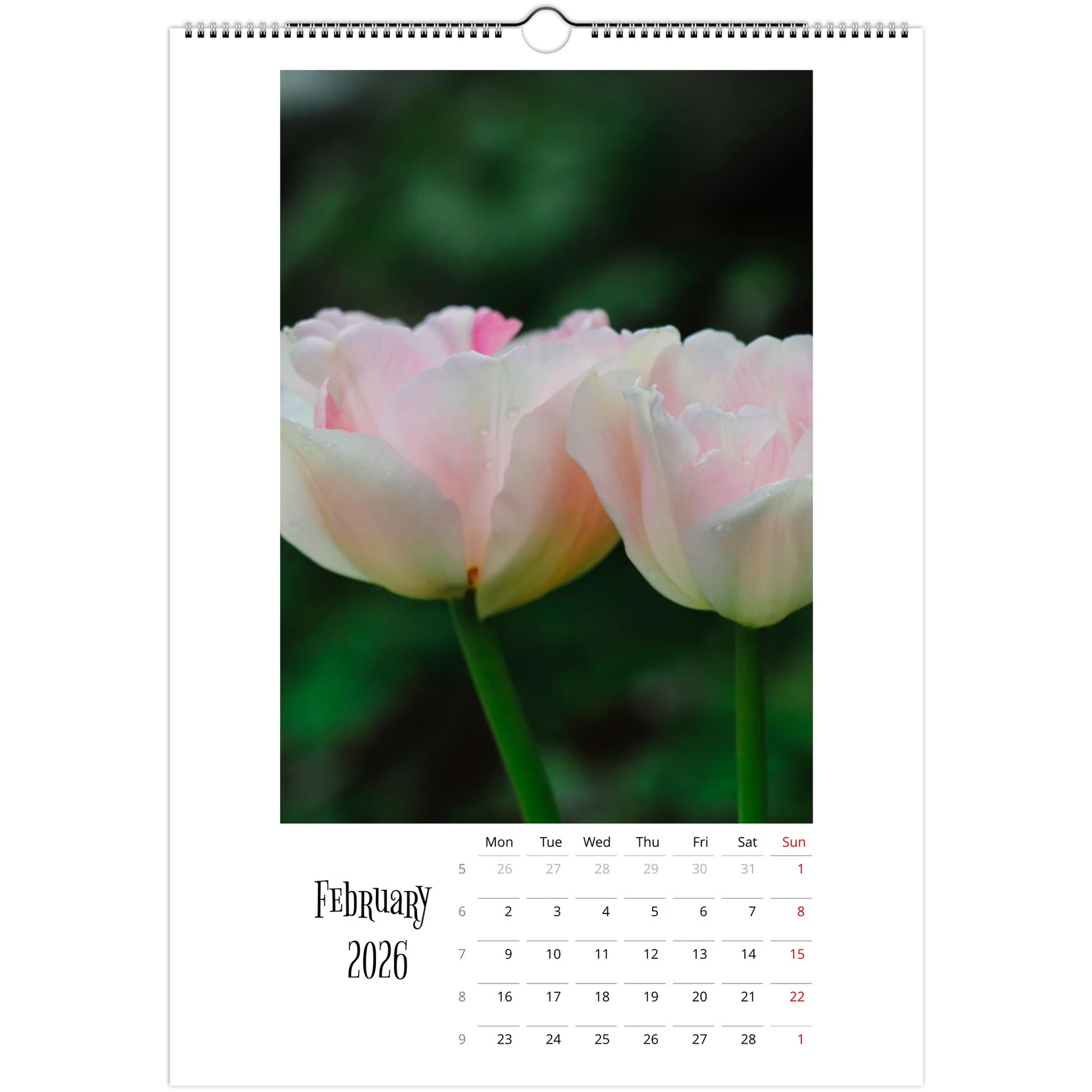 cffeee4e-05b4-47bc-9e17-dd333f632840