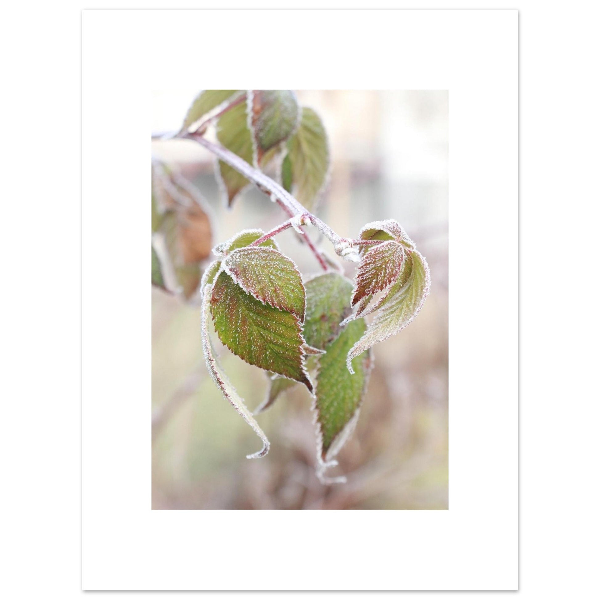 d0f6f2c6-4b83-423f-98cf-e10ca8271600