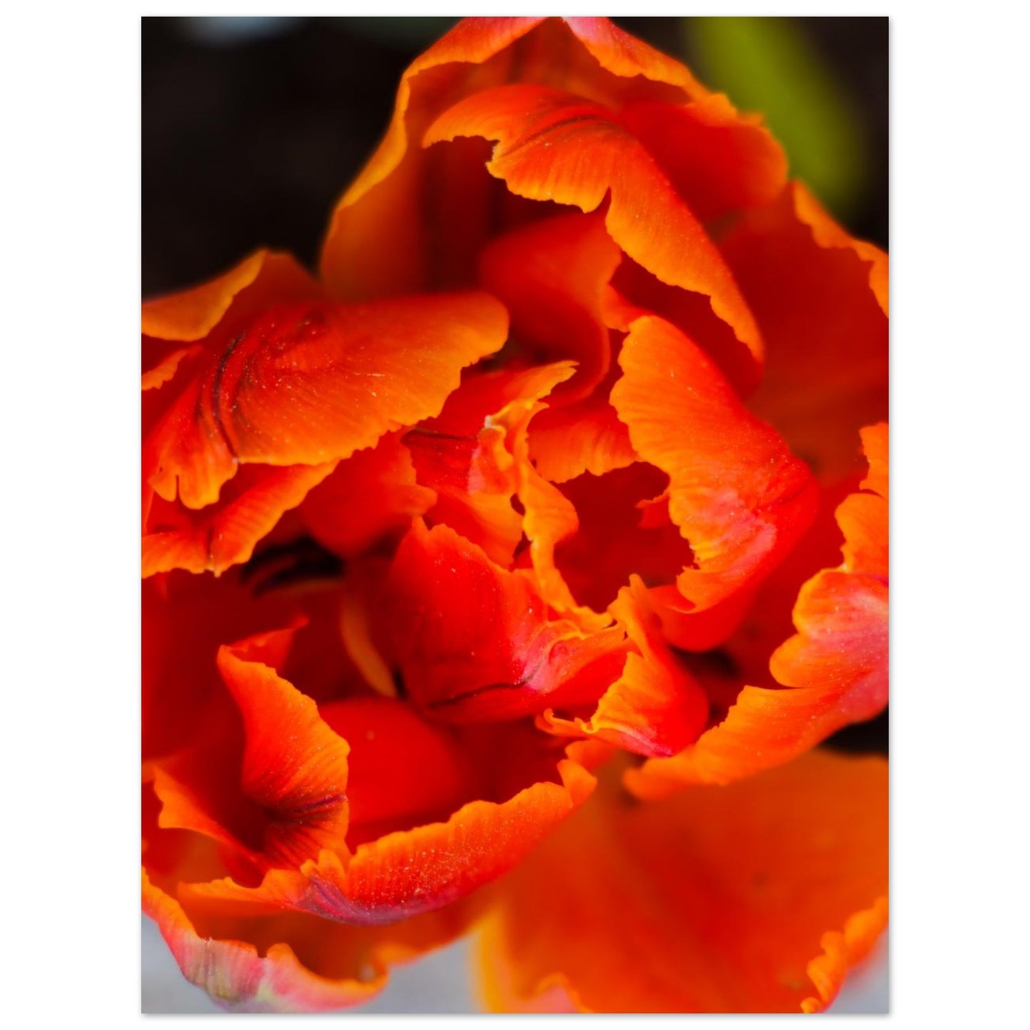 d2d19c6b-ec23-46ad-82f6-5a8d8ee5968c