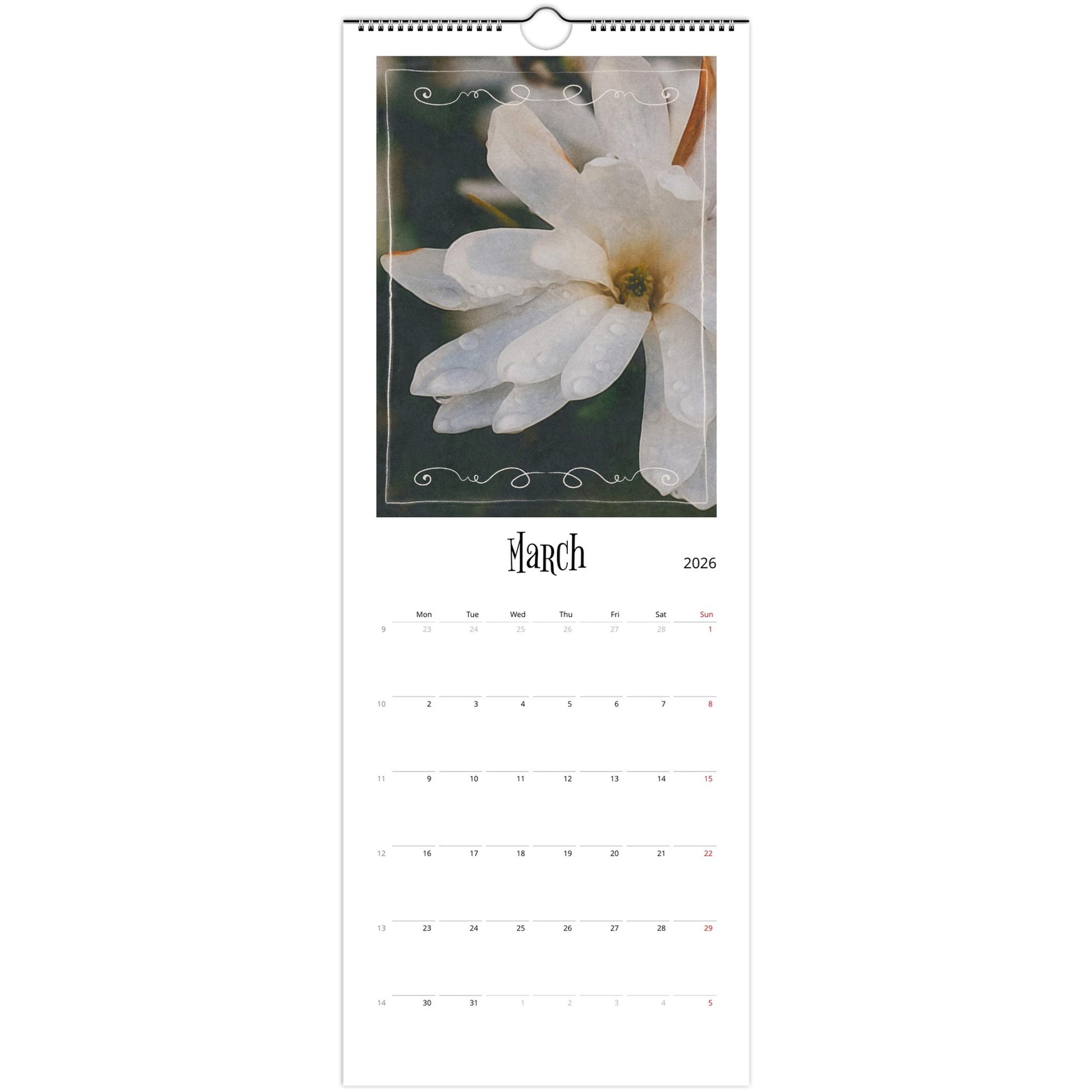 d4b4ec4e-40f7-436f-be39-f28e1c70ed1b