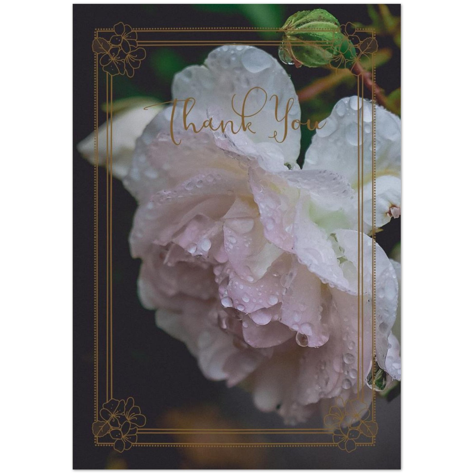 d59f366e-9bc5-45a1-bf83-2a05e7e1e6d0