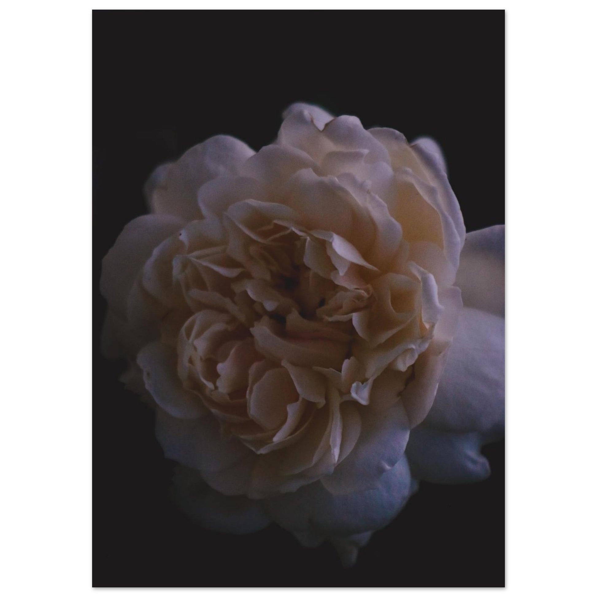 dbb4fa02-7e7b-45fe-9167-65f6d67b6970