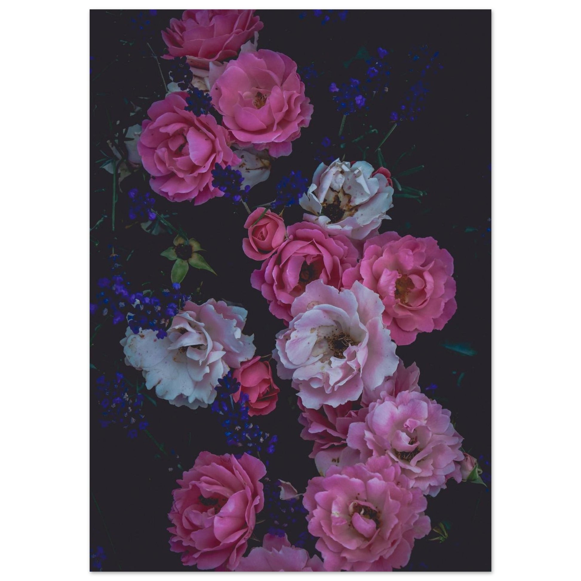 e047868b-5ce7-4008-934f-f97cb240e811