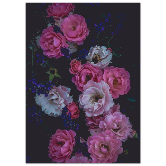 e047868b-5ce7-4008-934f-f97cb240e811