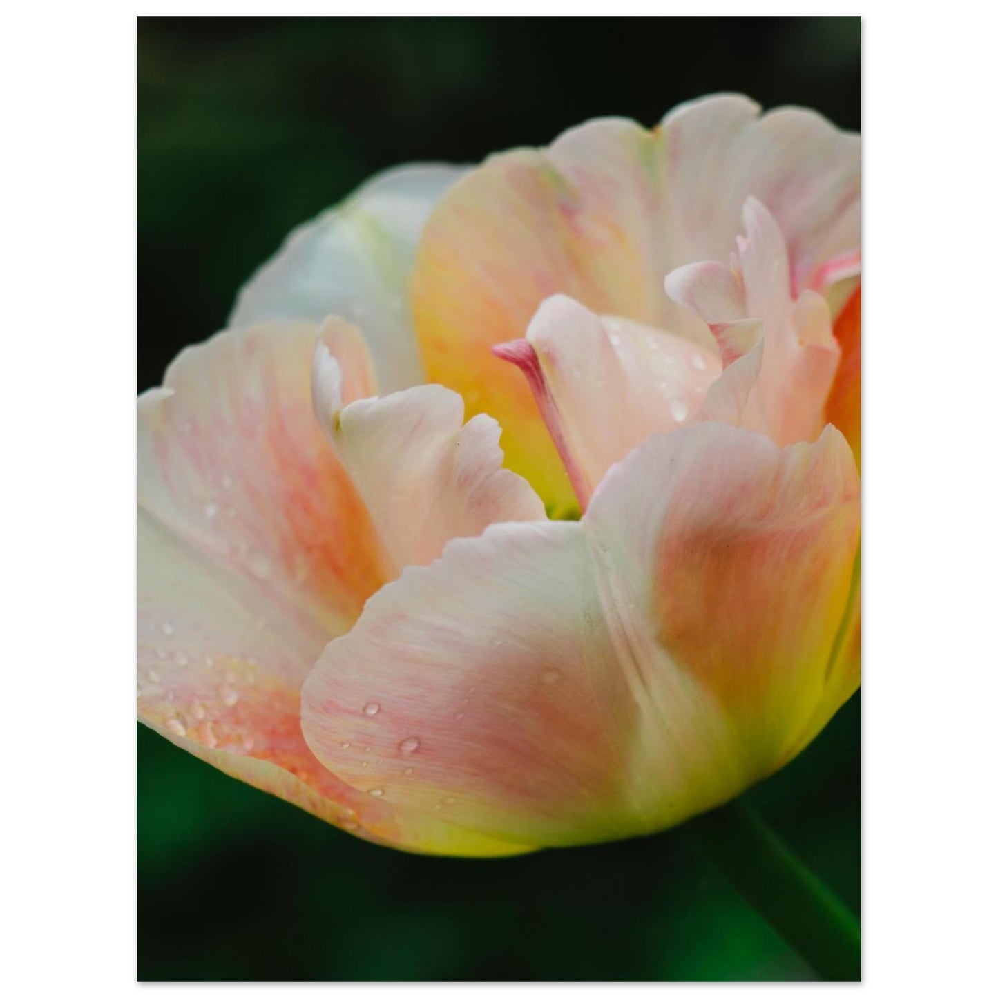 e1157384-33fe-4805-9222-484f81b92387