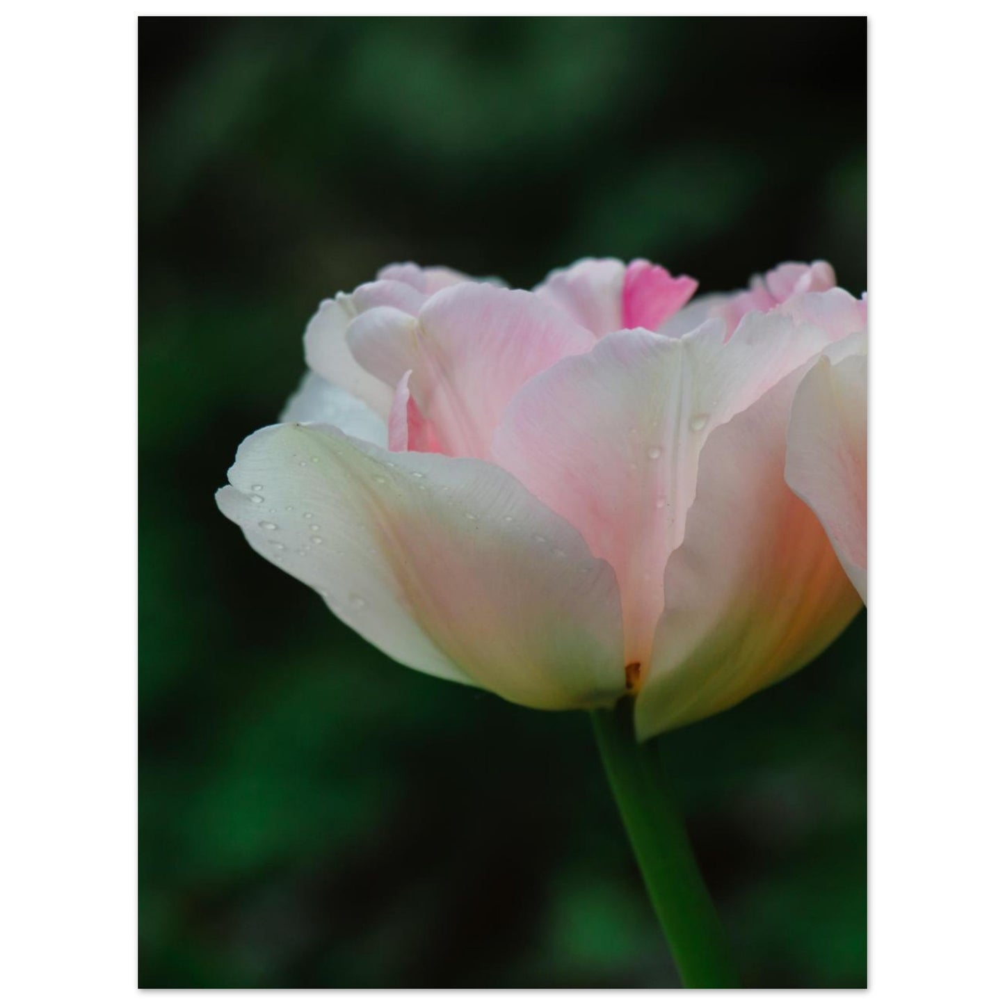 e343fd7b-8c3f-43db-aeca-5e0afe9a8df6