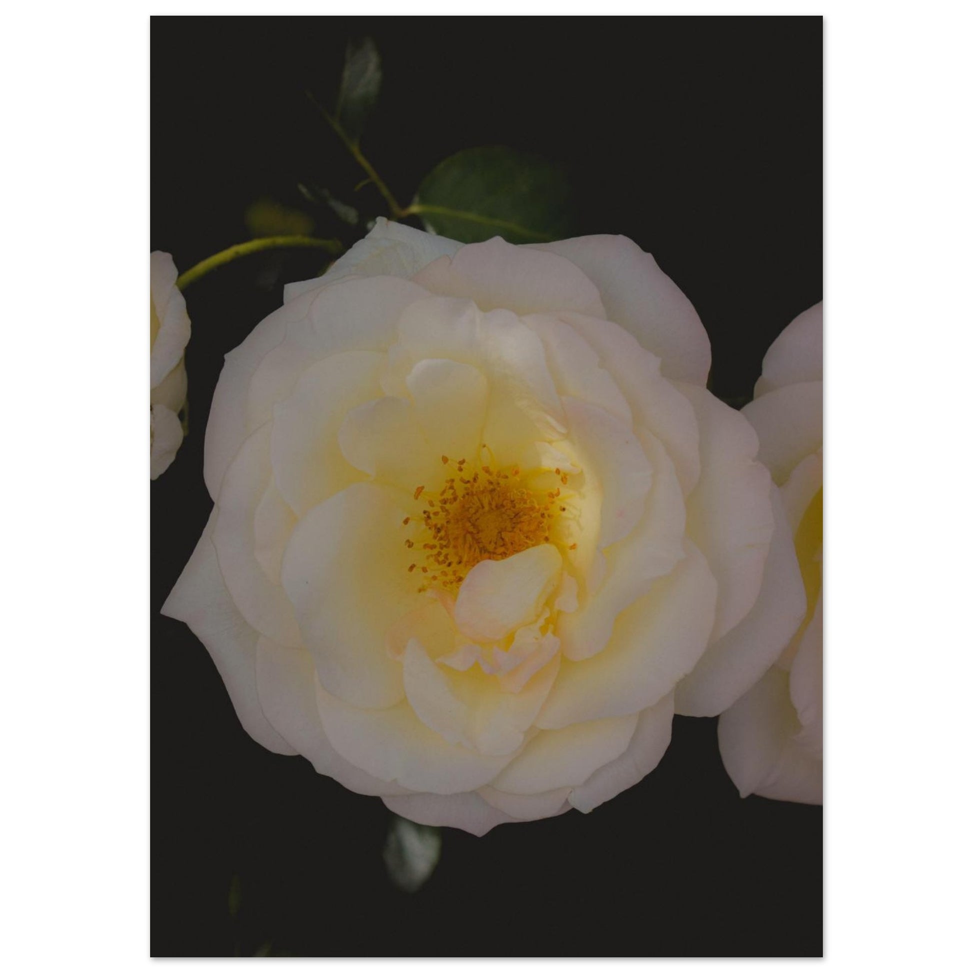 e38a0439-39cb-4754-befb-eaf06560d901