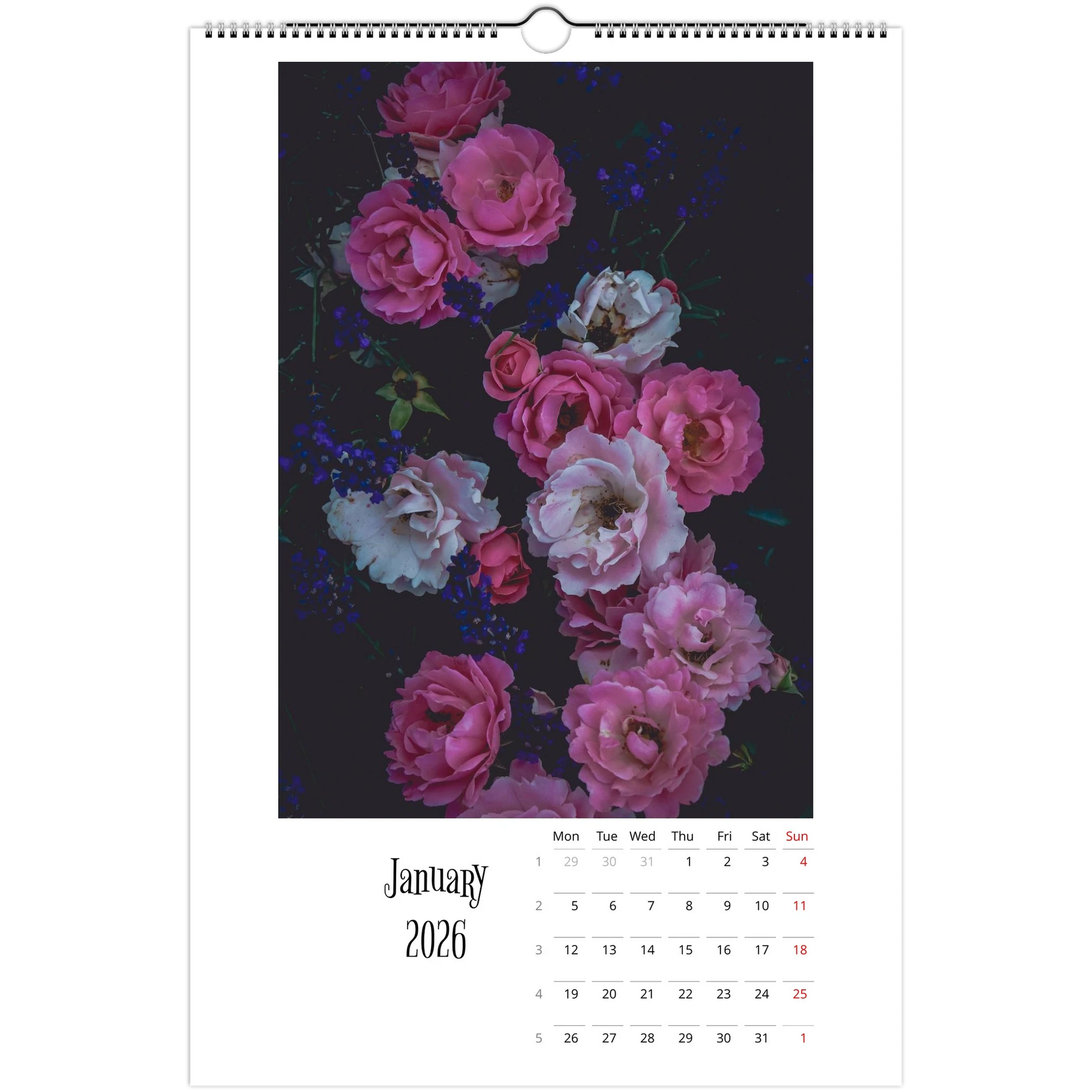 e49689f2-06c3-4360-a330-7ea71f38ea29